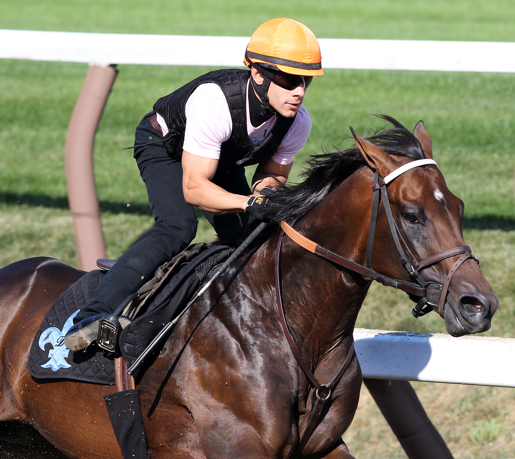 Exaggerator