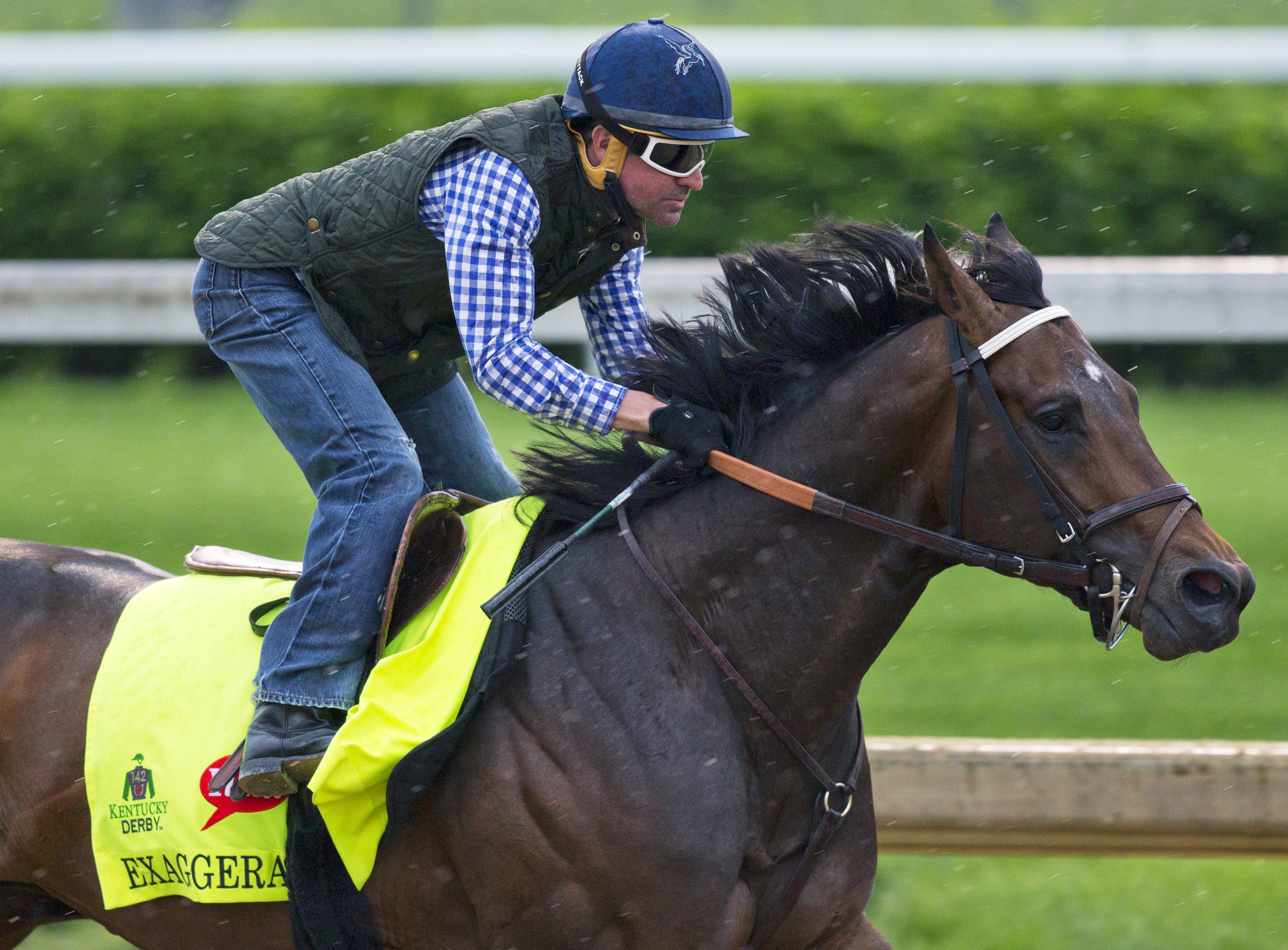 Exaggerator