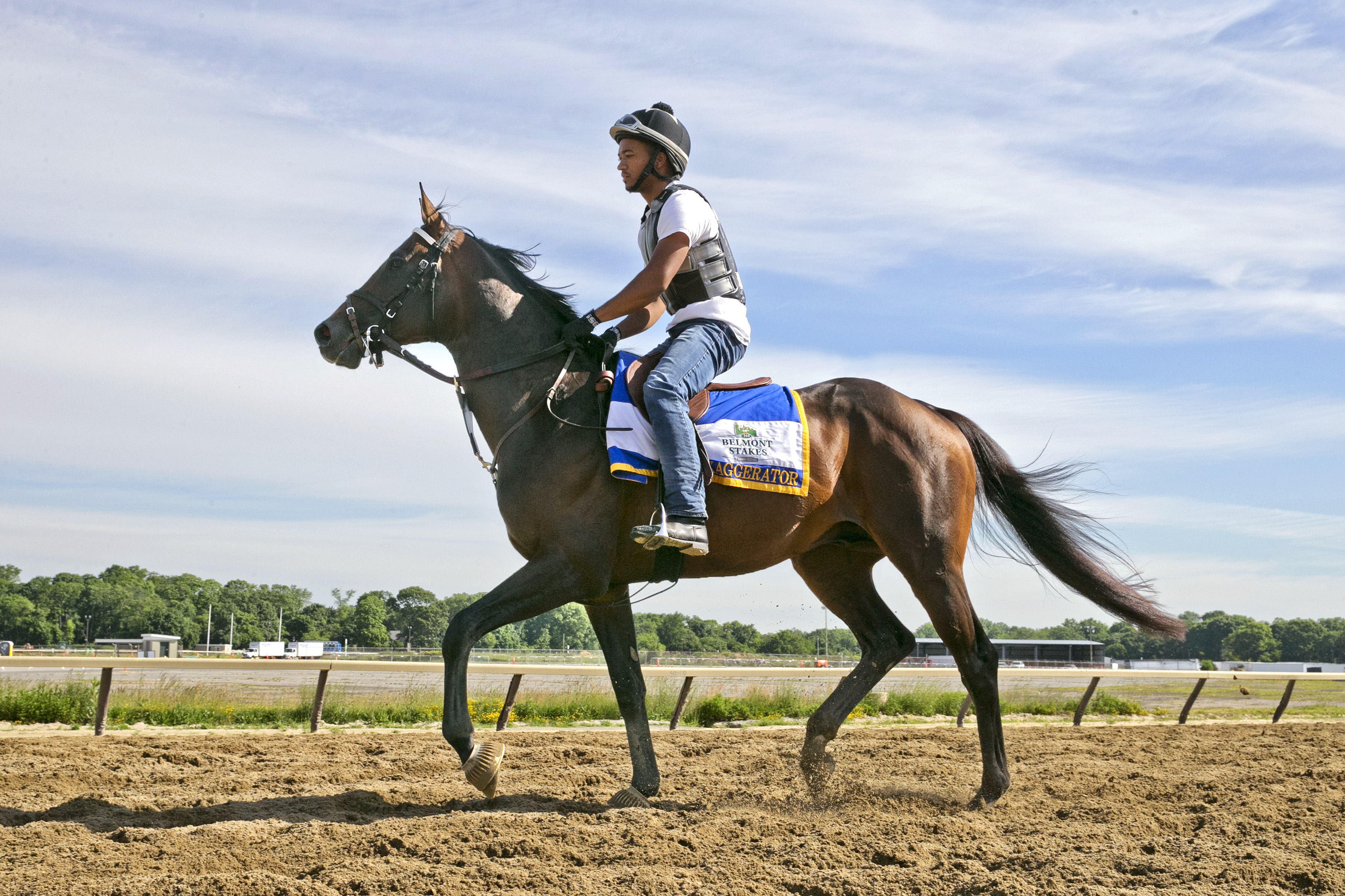 Exaggerator at Belmont on June 8