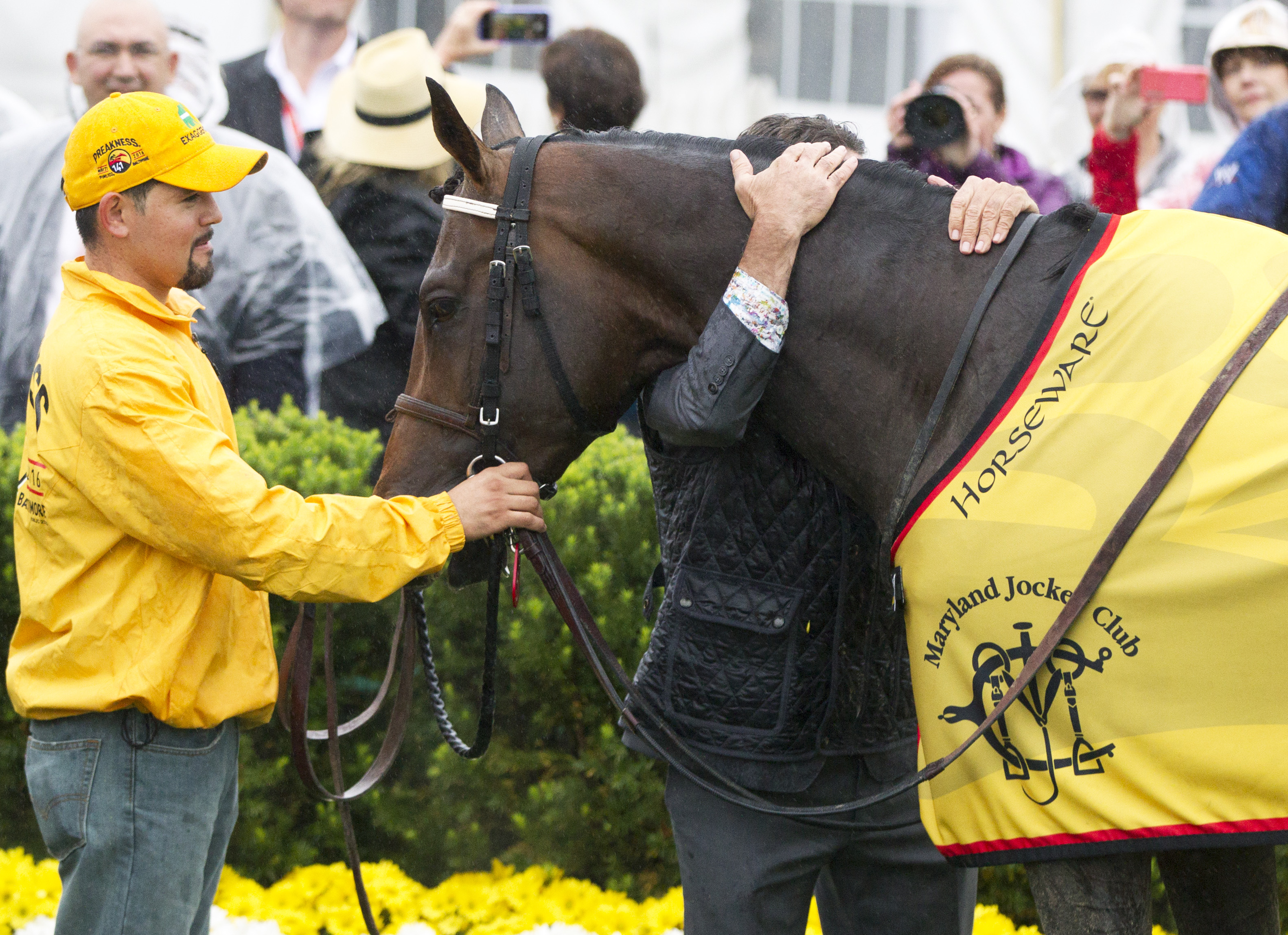 Exaggerator 05-21-2016