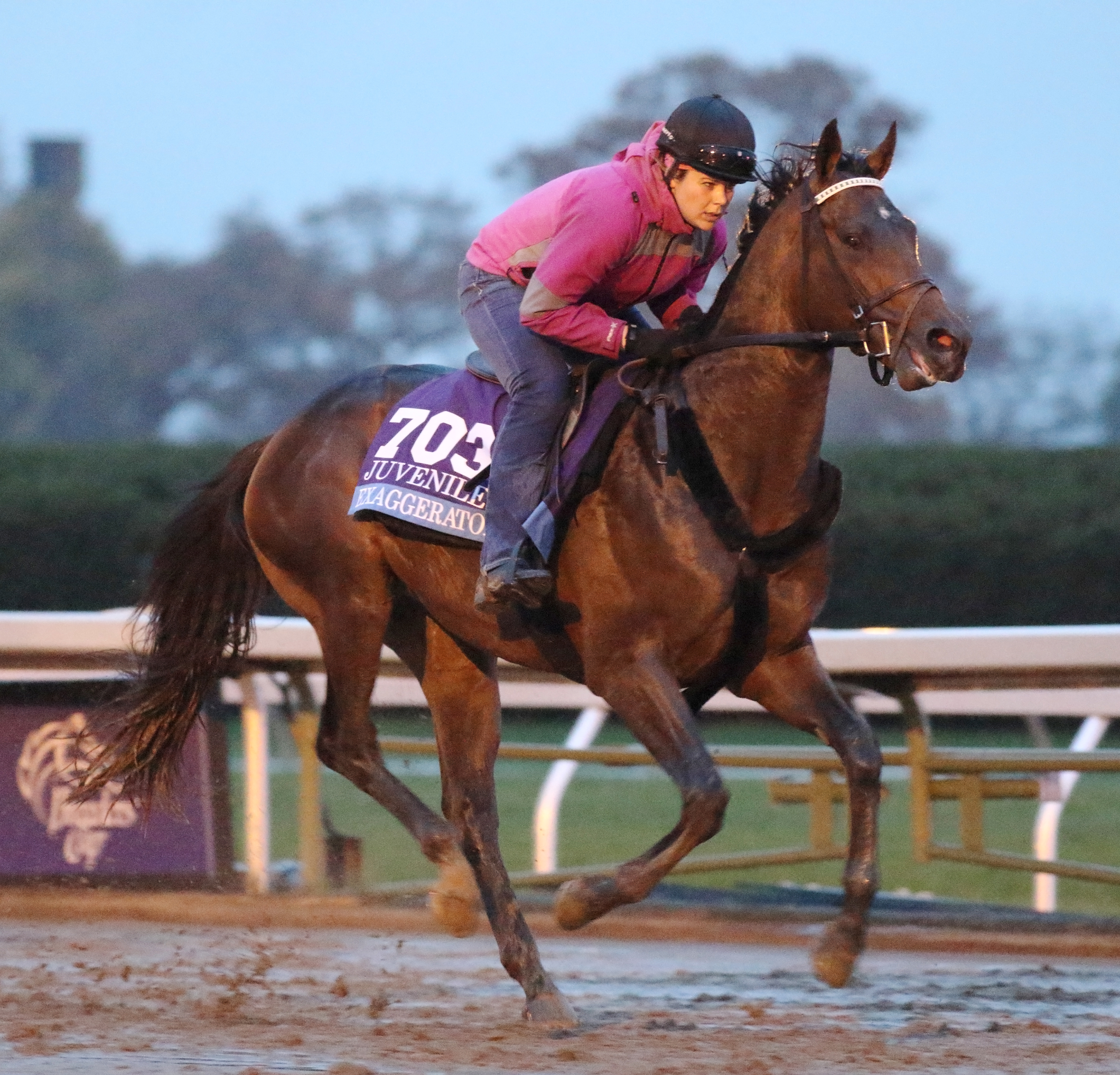 Exaggerator at Keeneland on Oct. 27