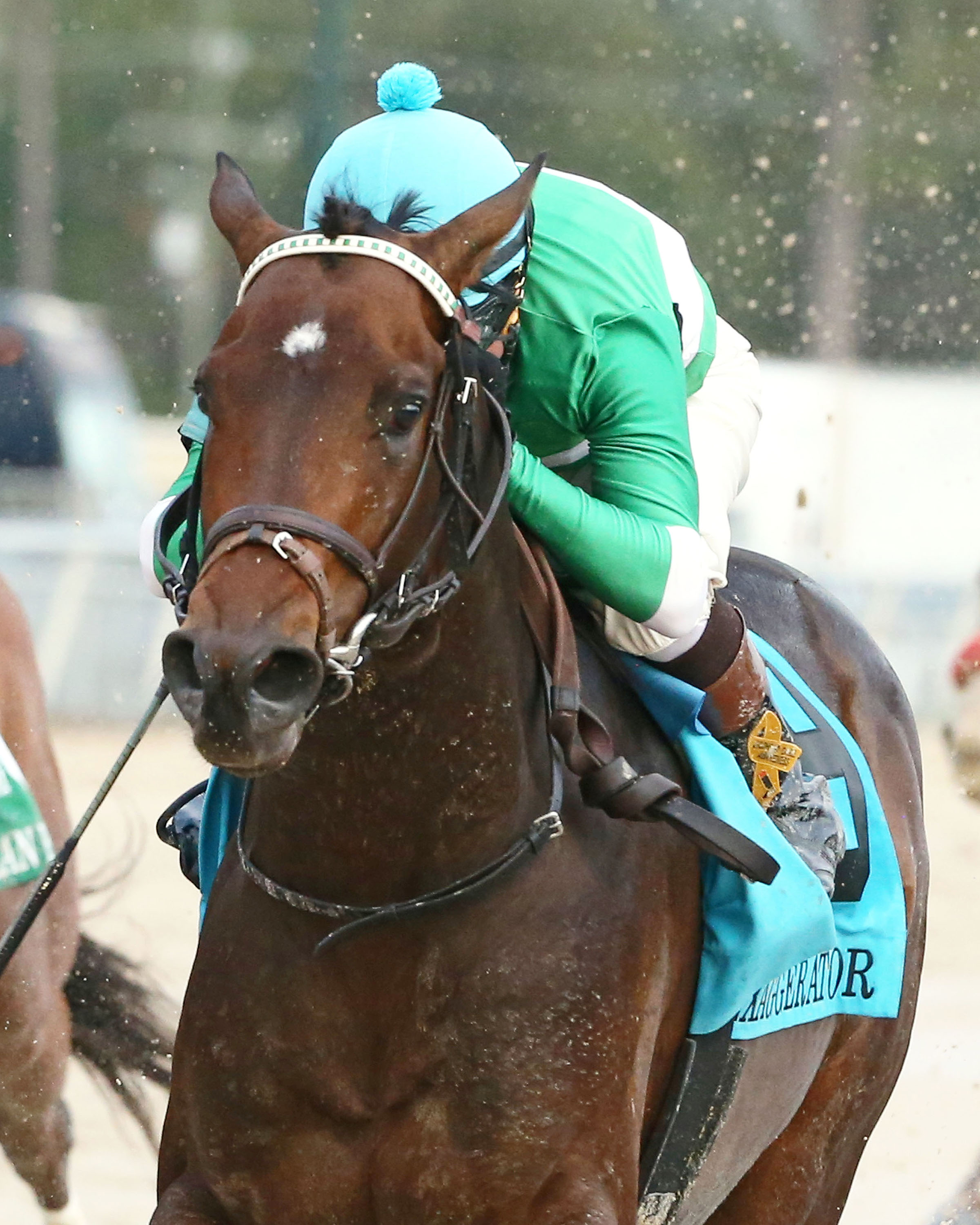 Exaggerator wins the Delta Downs Jackpot Stakes