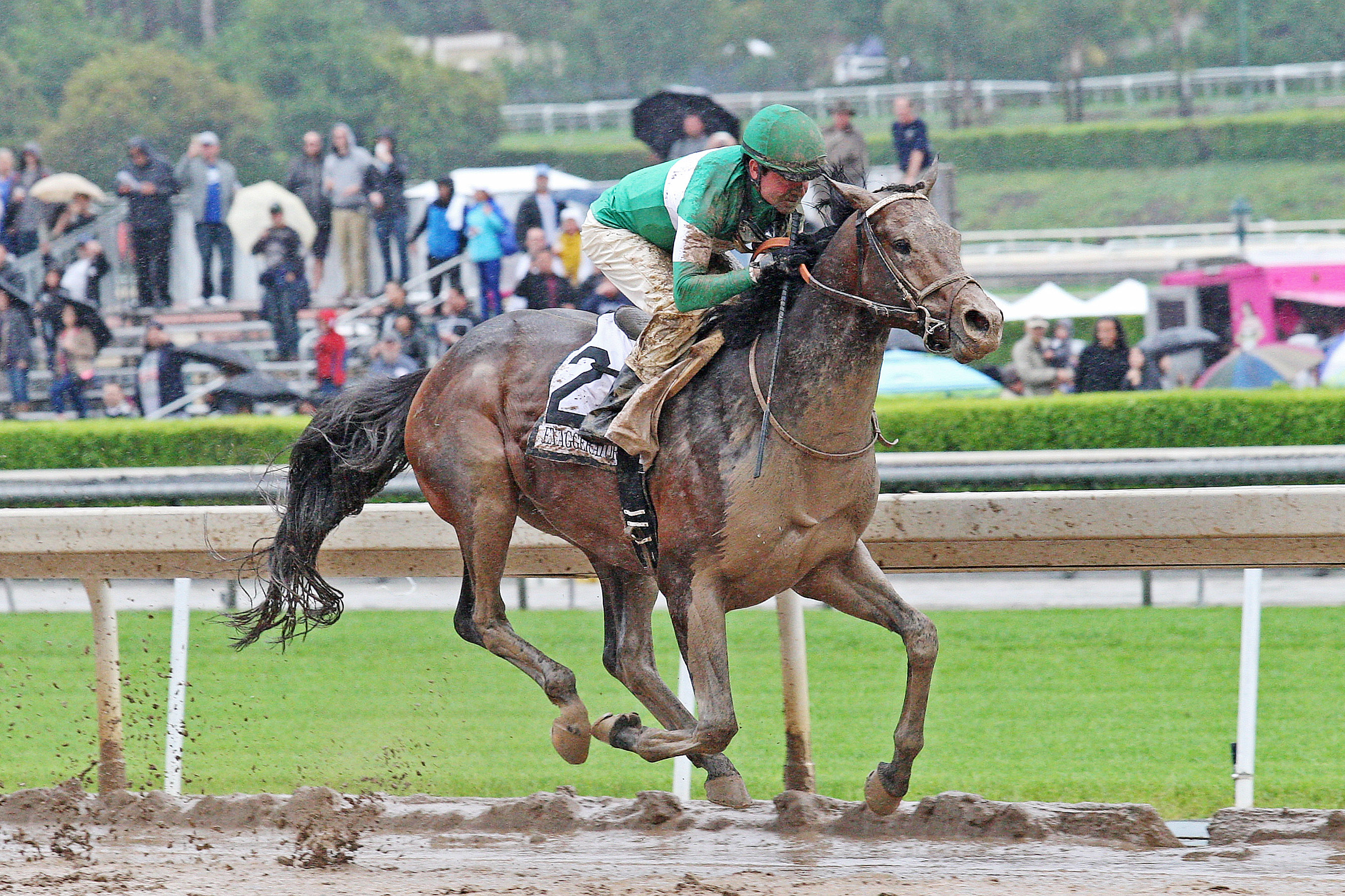 Exaggerator wins the Santa Anita Derby