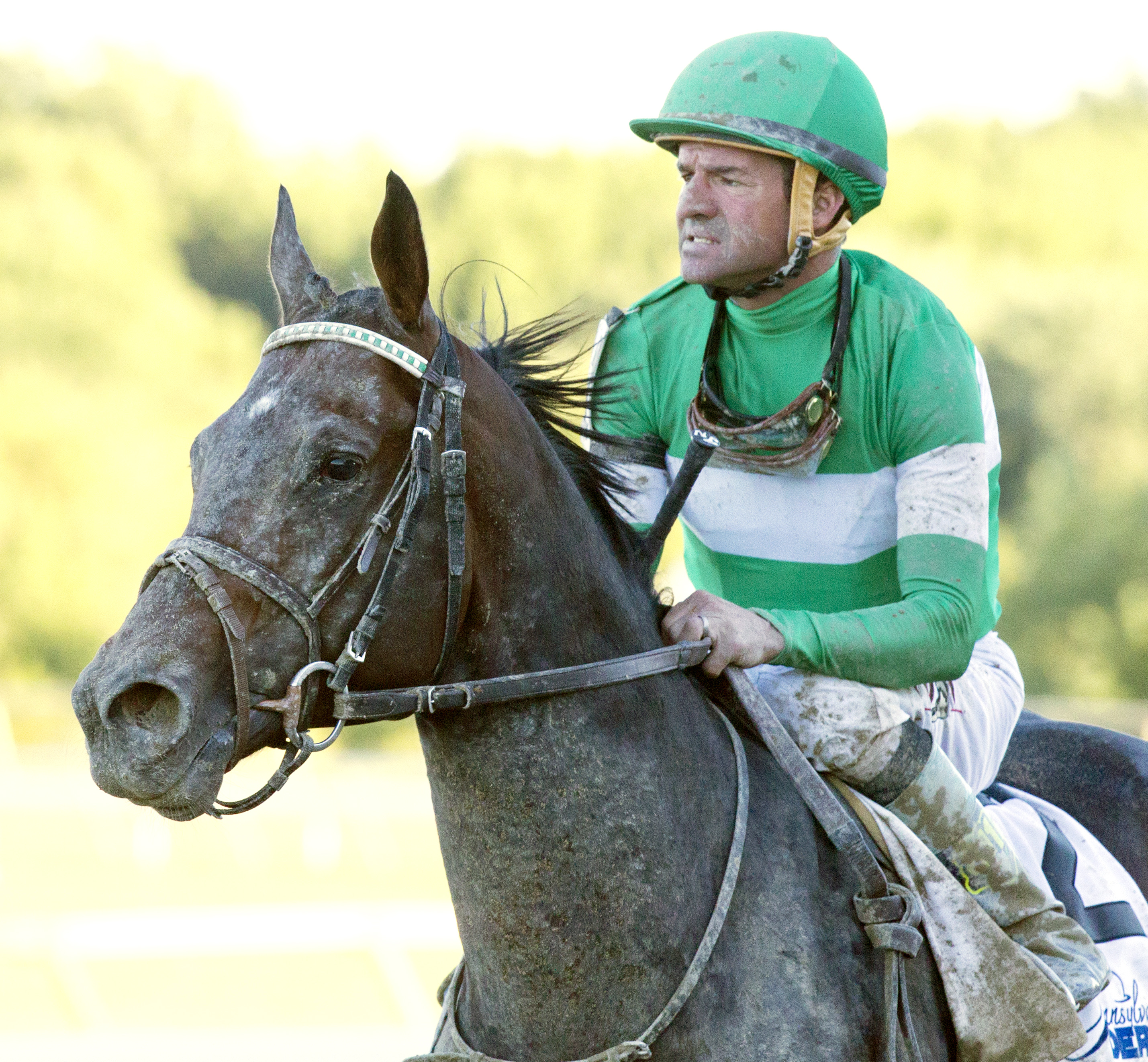 Exaggerator finishes seventh in the Pennsylvania Derby