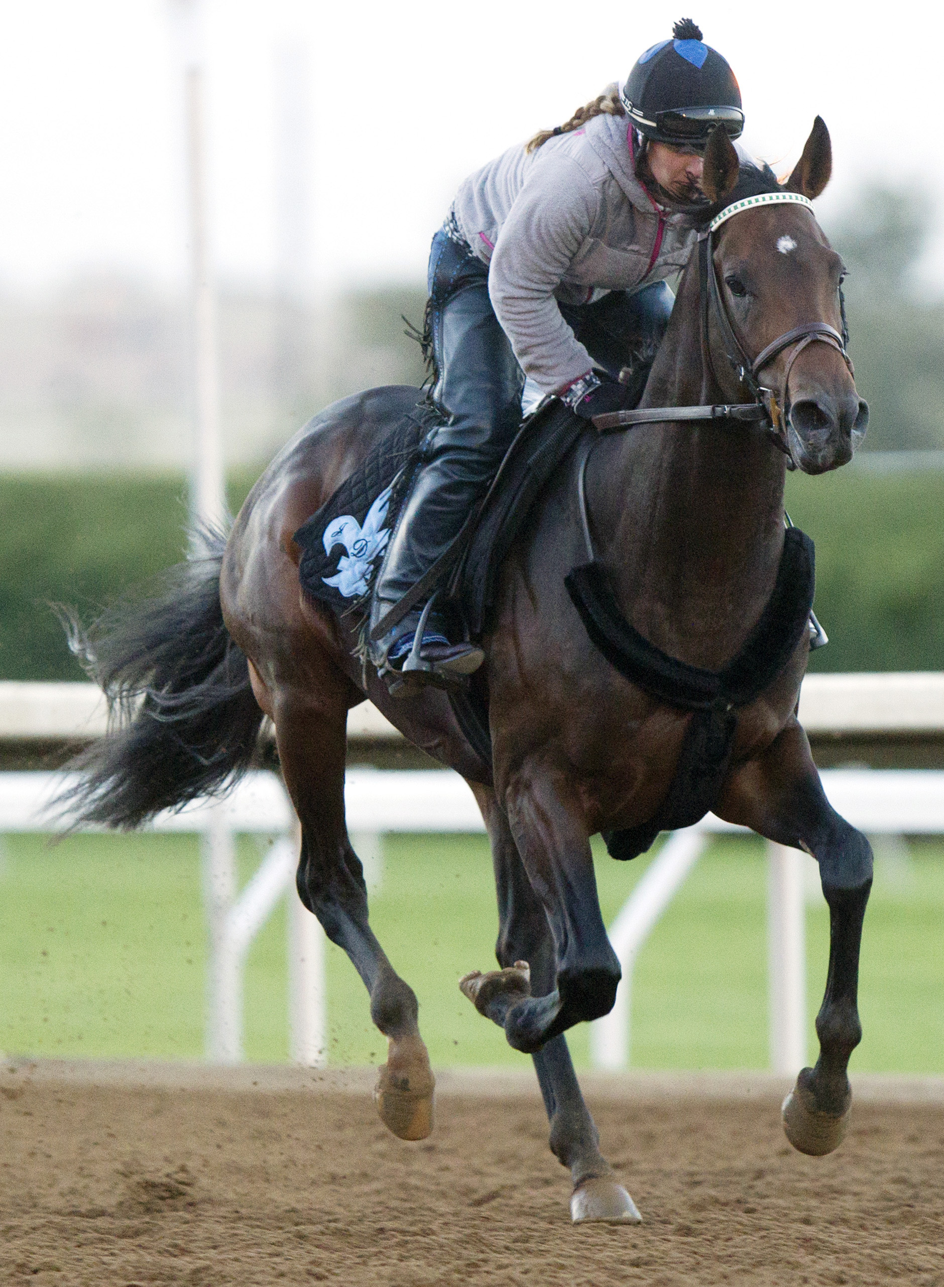 Exaggerator at Keeneland on Oct. 16