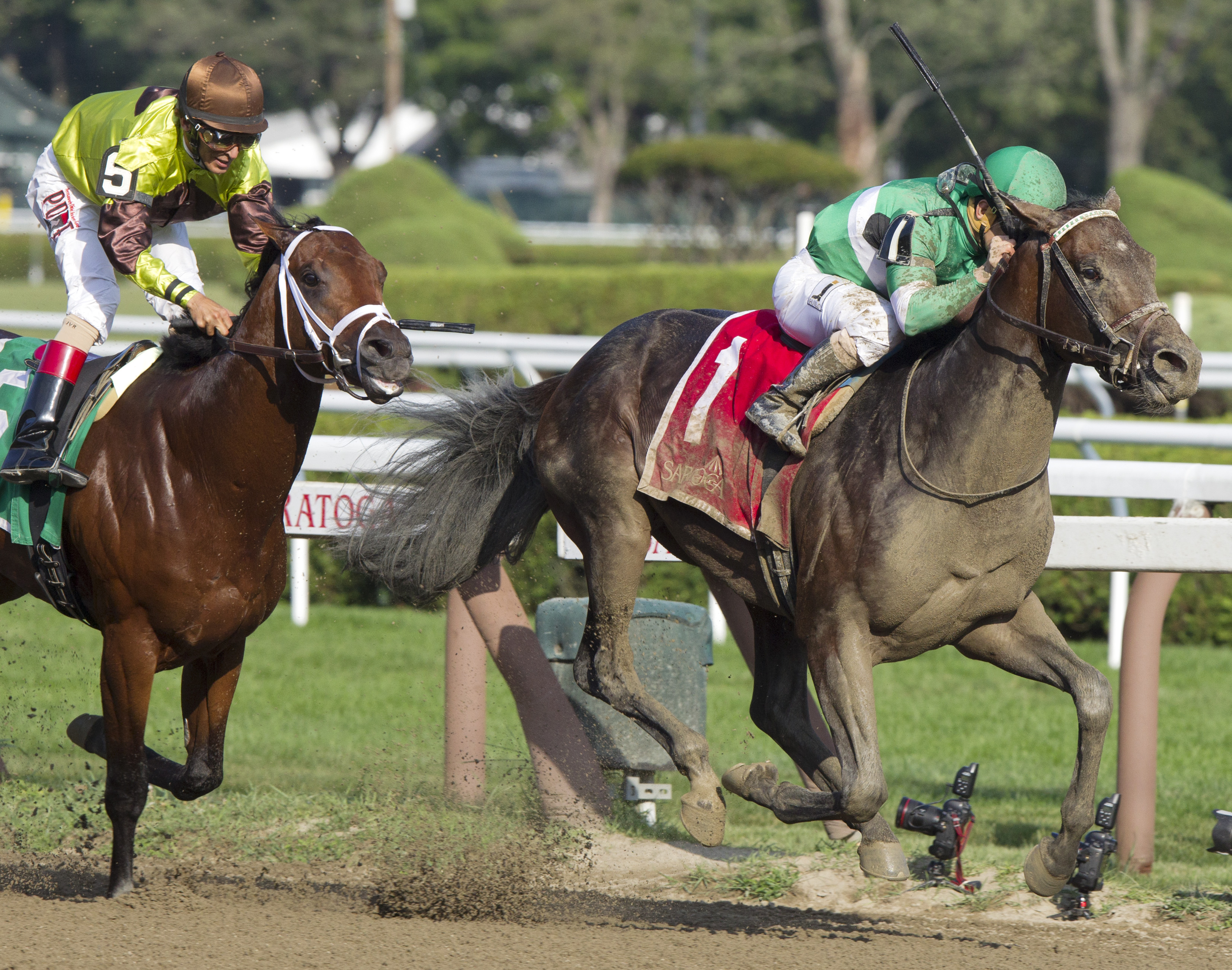 Exaggerator/Saratoga Special