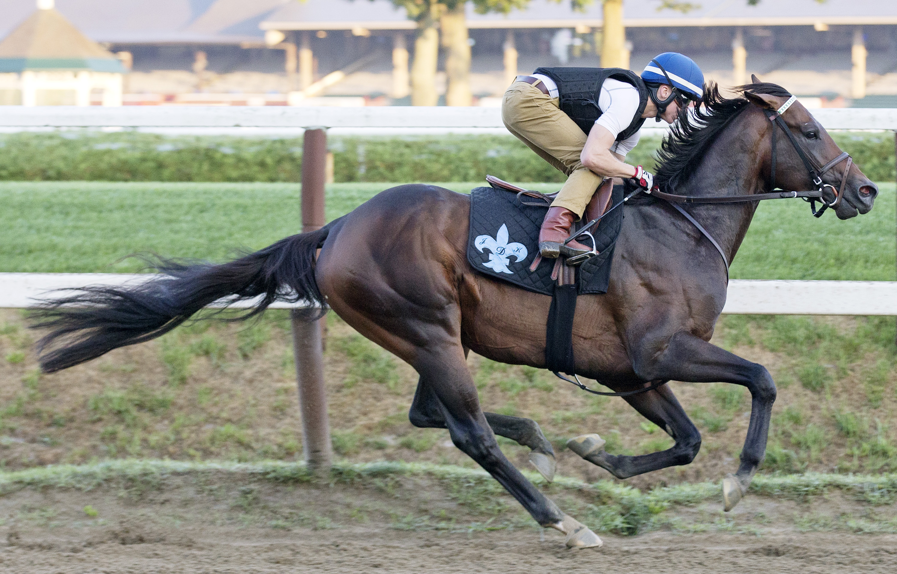 Exaggerator