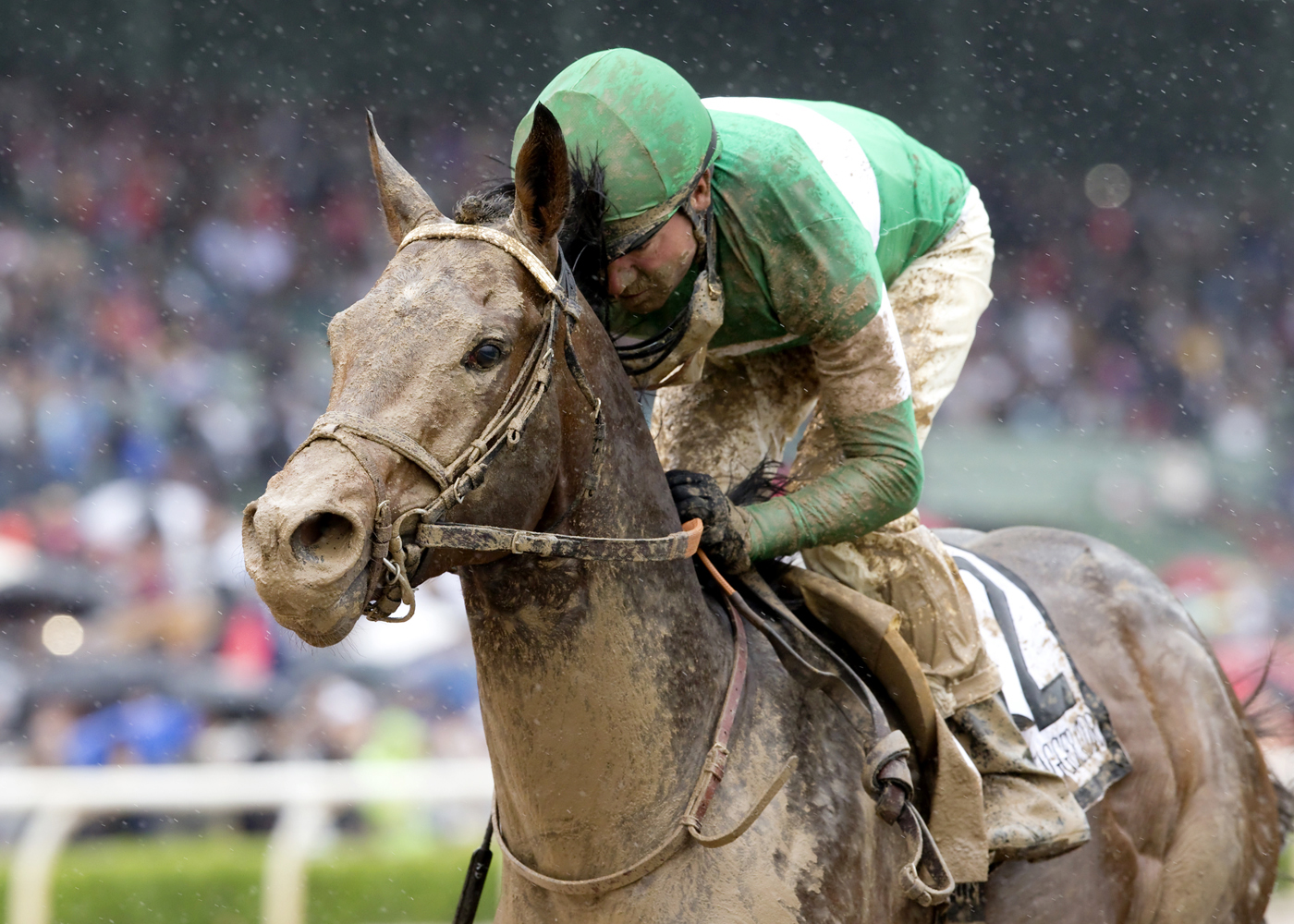 Exaggerator wins the Santa Anita Derby