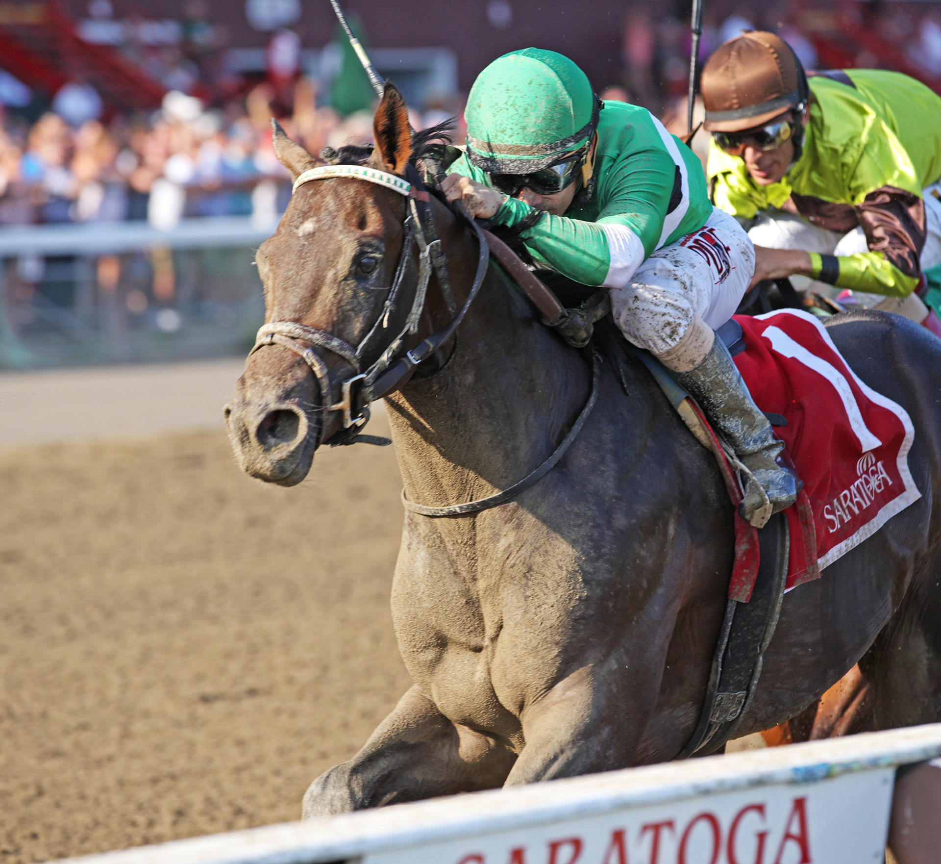 Exaggerator wins the Saratoga Special