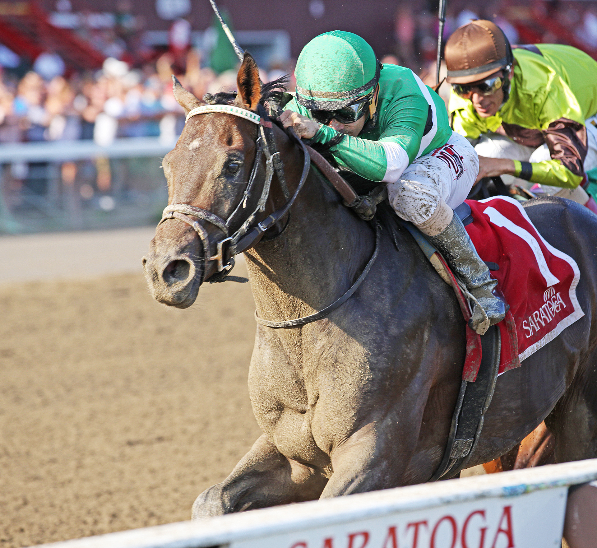 Exaggerator wins the Saratoga Special