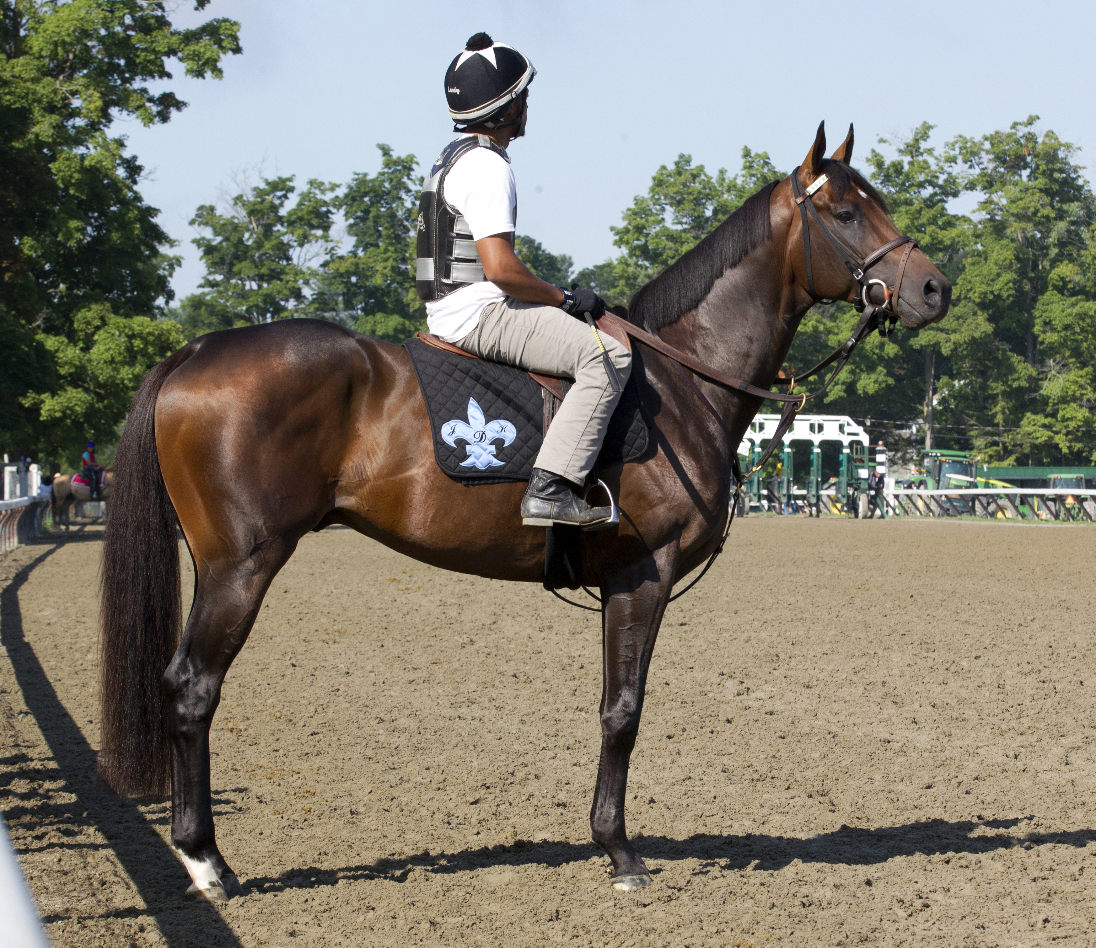 Exaggerator at Saratoga