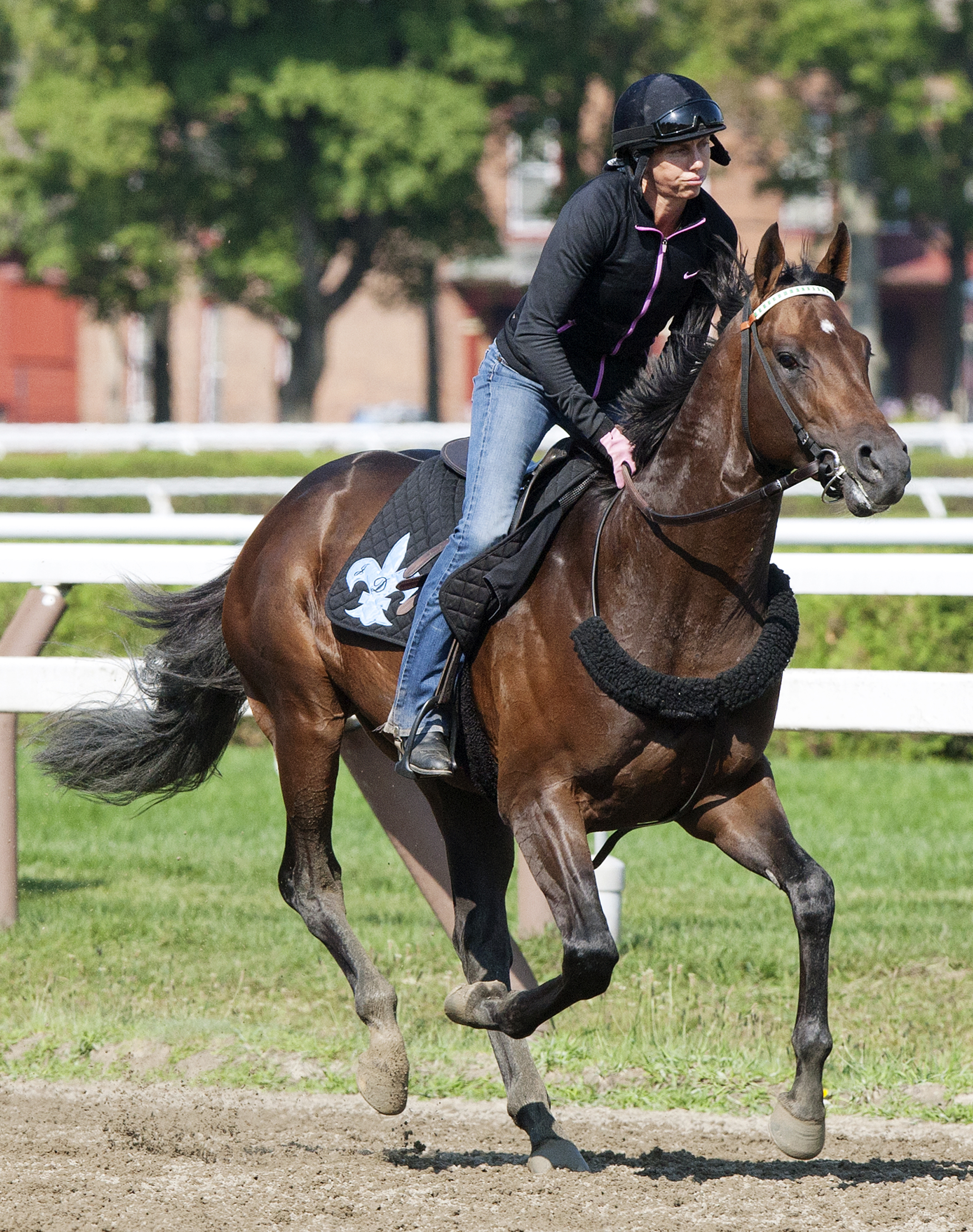 Exaggerator at Saratoga on Aug. 14