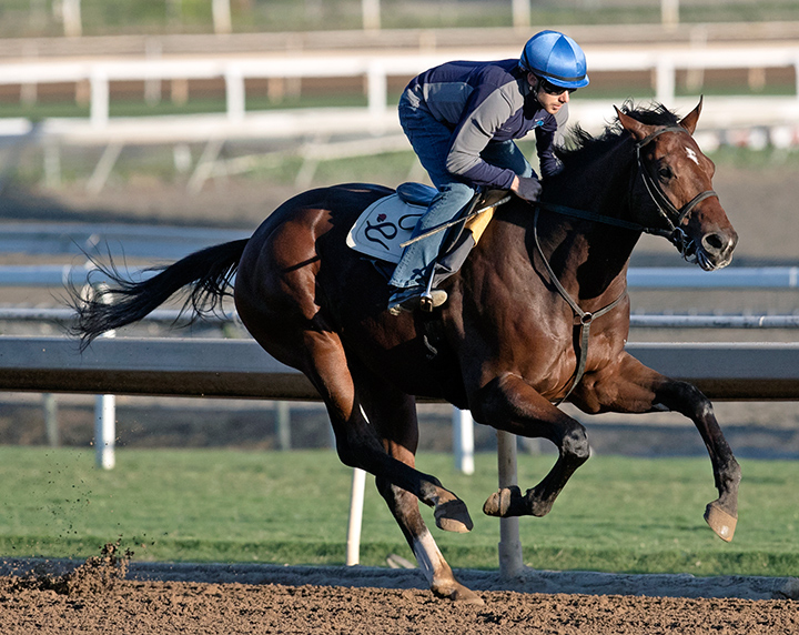 Exaulted trains at Santa Anita Park on Oct. 24