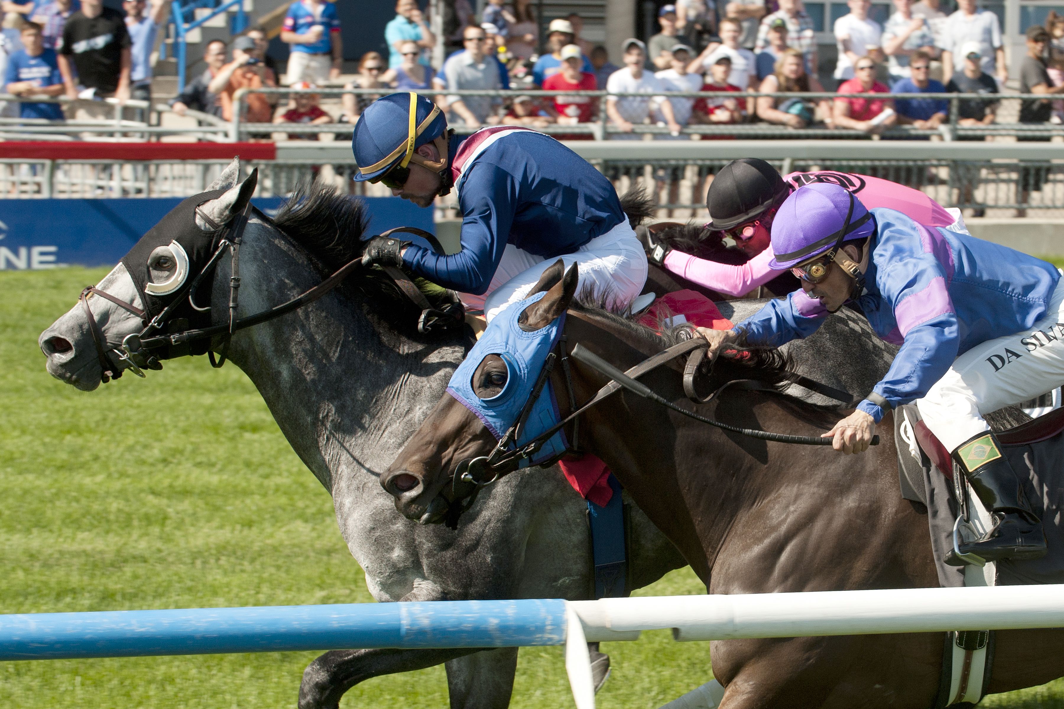 Excaper wins the 2014 Connaught Cup