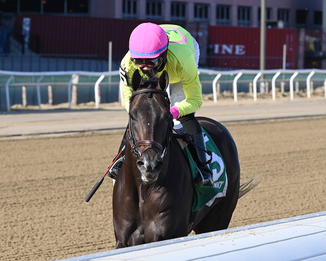 Excellent Timing wins the 2021 Damon Runyon Stakes at Aqueduct Racetrack