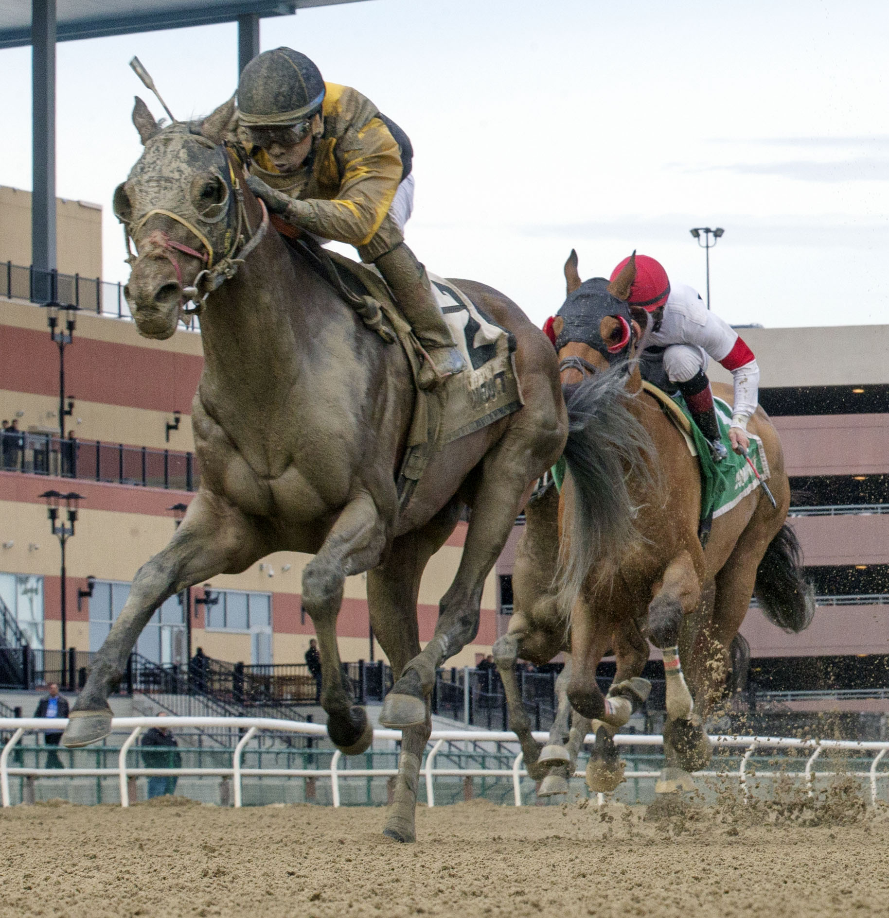 Discreet Lover wins 2018 Excelsior