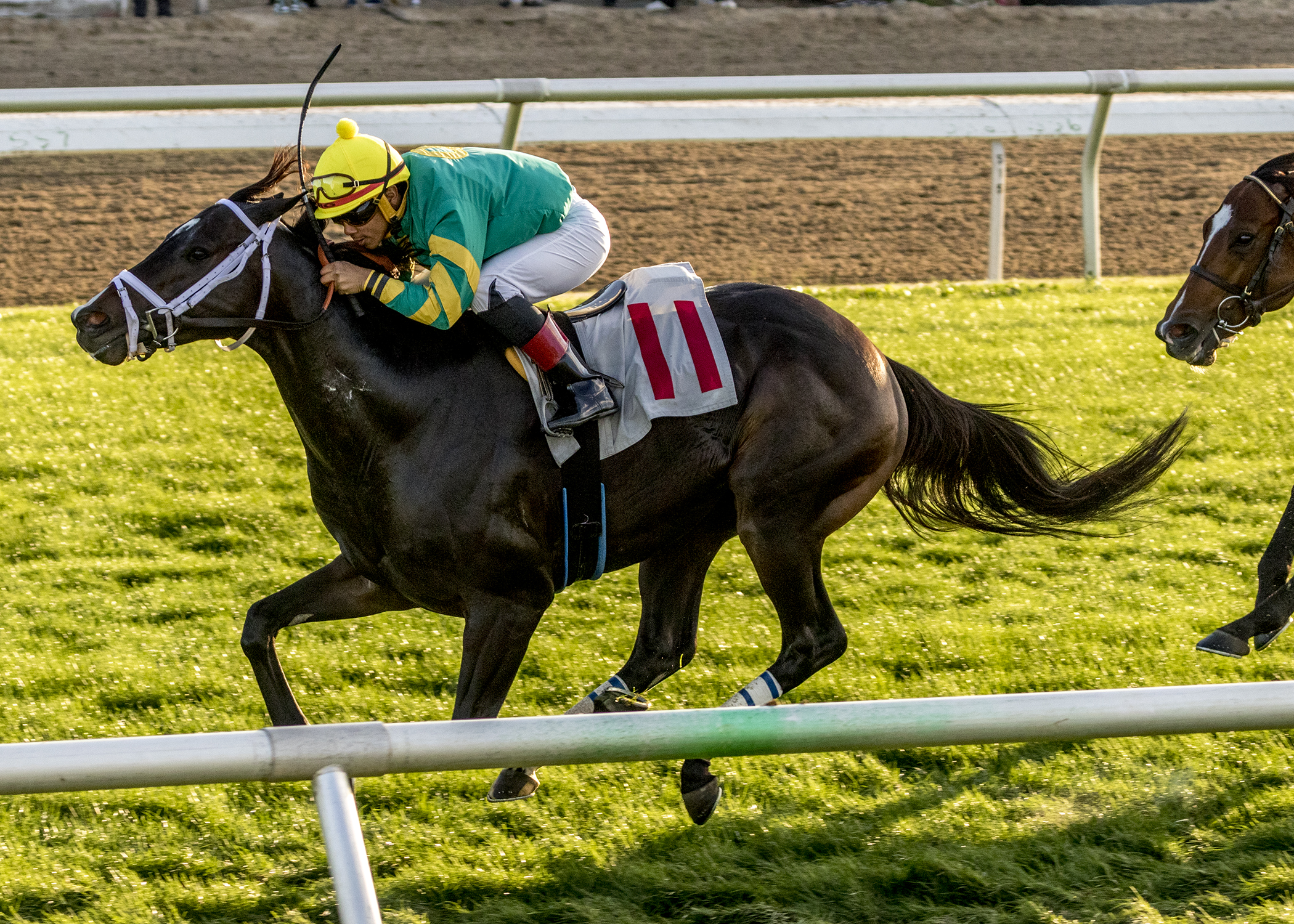 Excess Magic wins the Woodchopper Stakes at Fair Grounds.12-27-2021