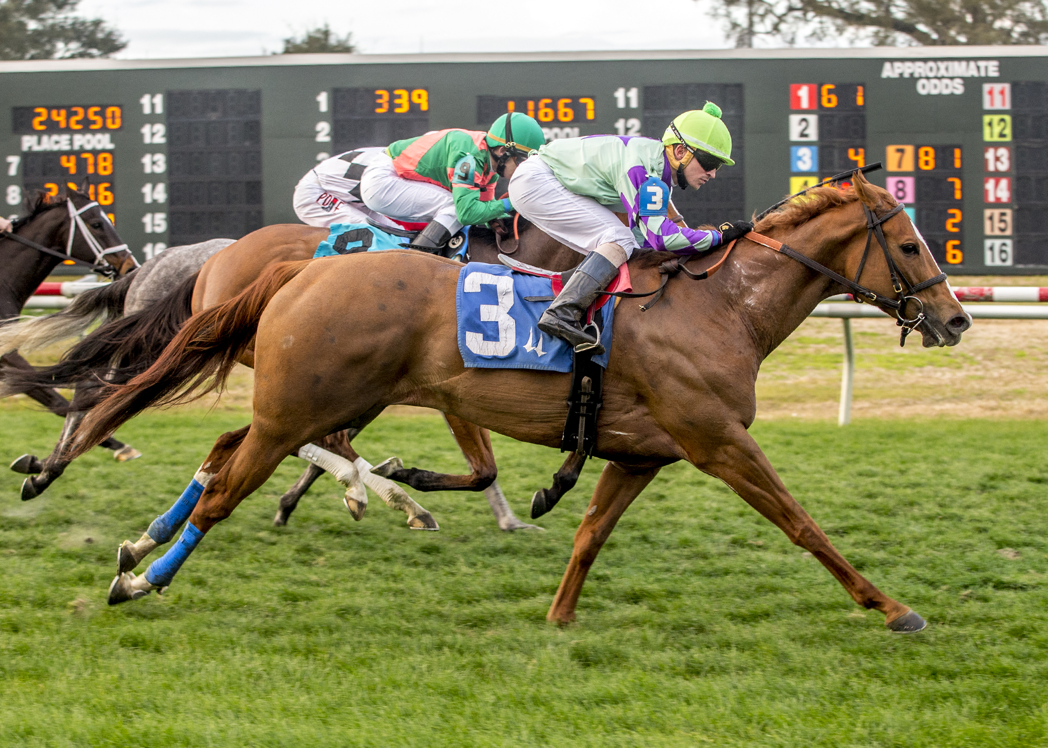 Excessivespending wins the 2019 Nelson J. Menard