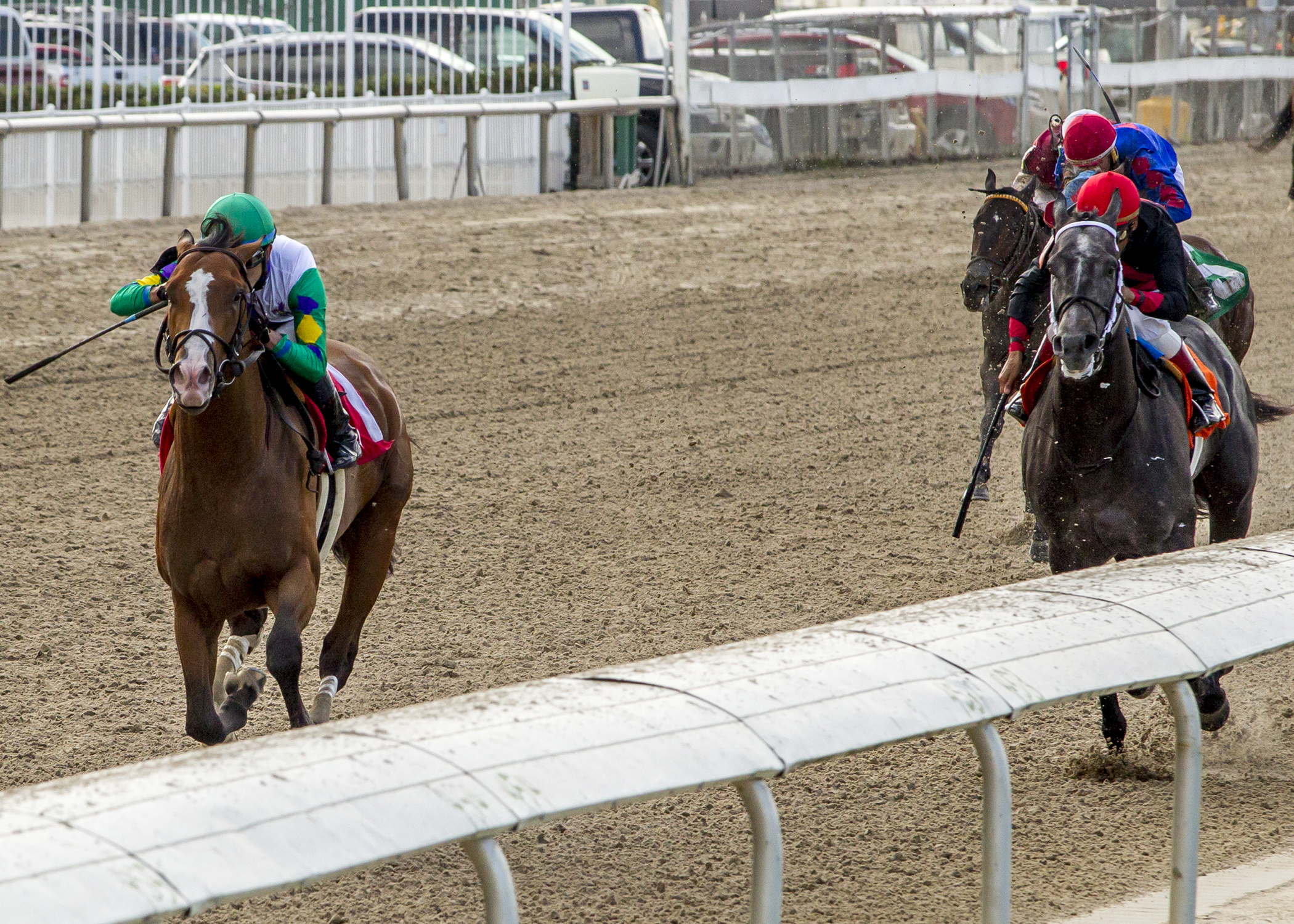 Excitations wins a Feb. 2 maiden race