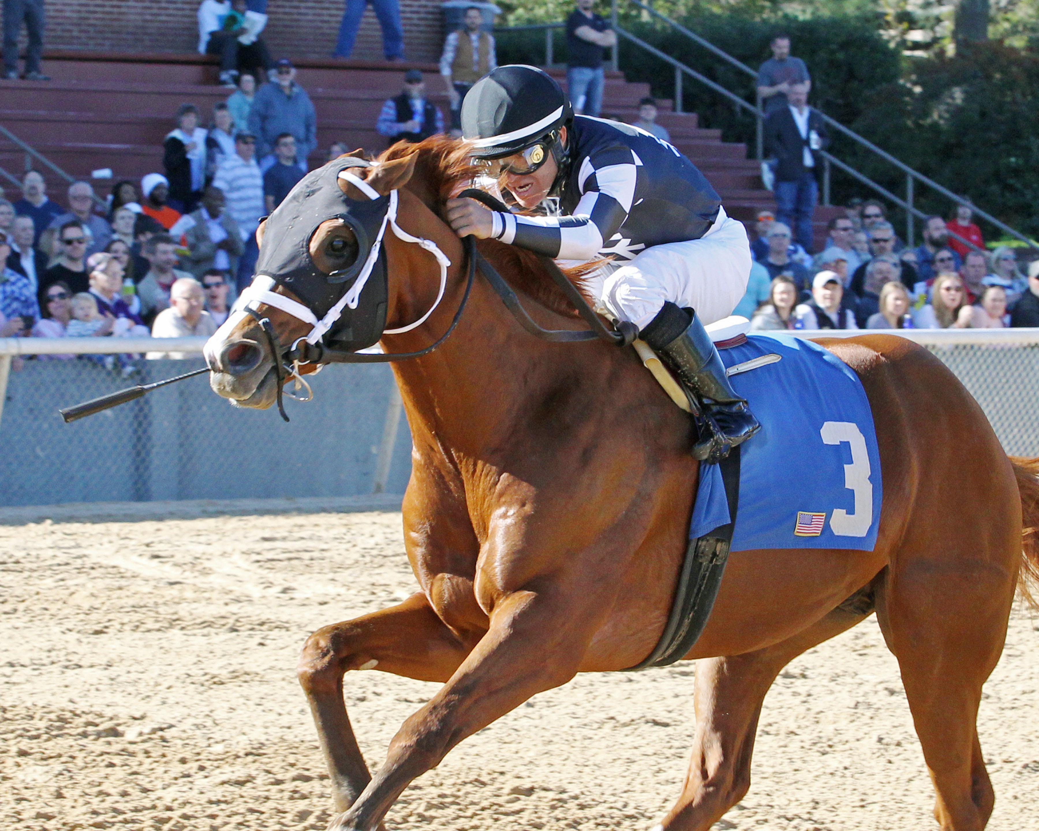 Exclamation Point wins a March 3 allowance
