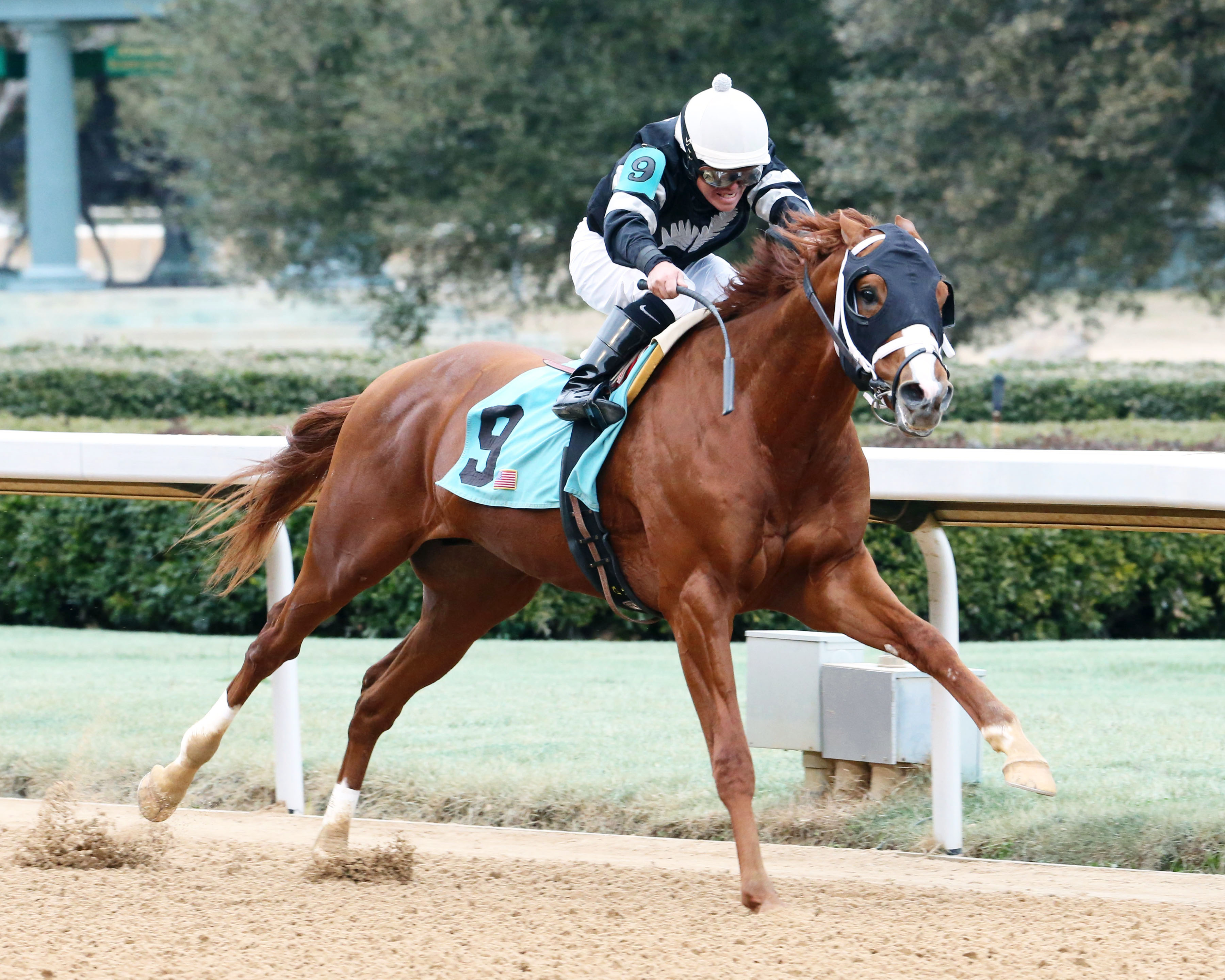 Exclamation Point wins a Feb. 3 maiden