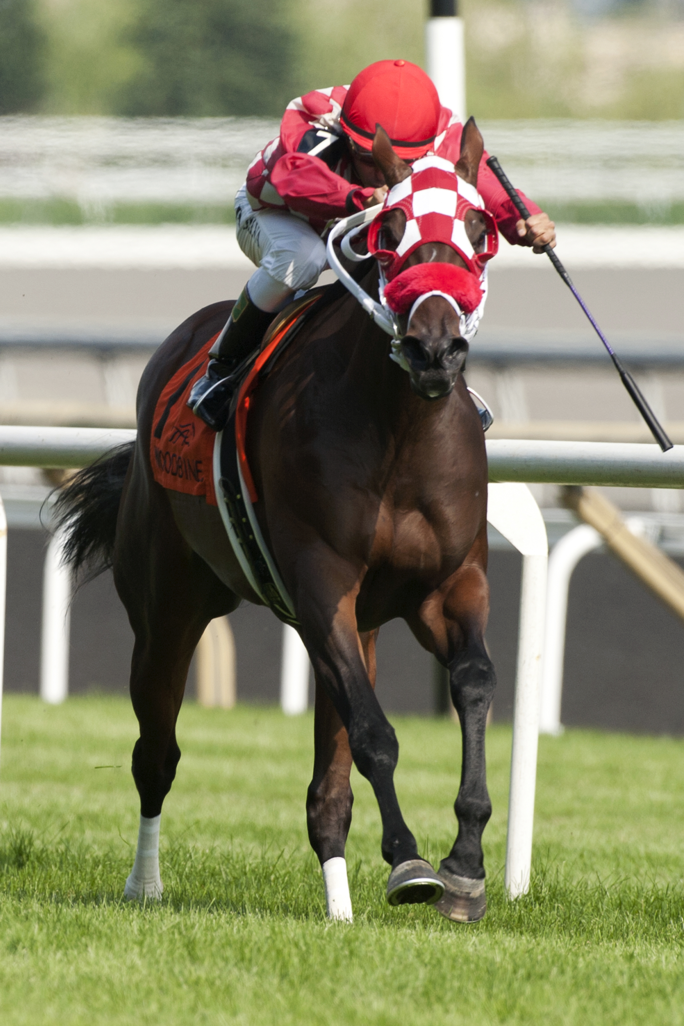 Executive Allure wins the Passing Mood