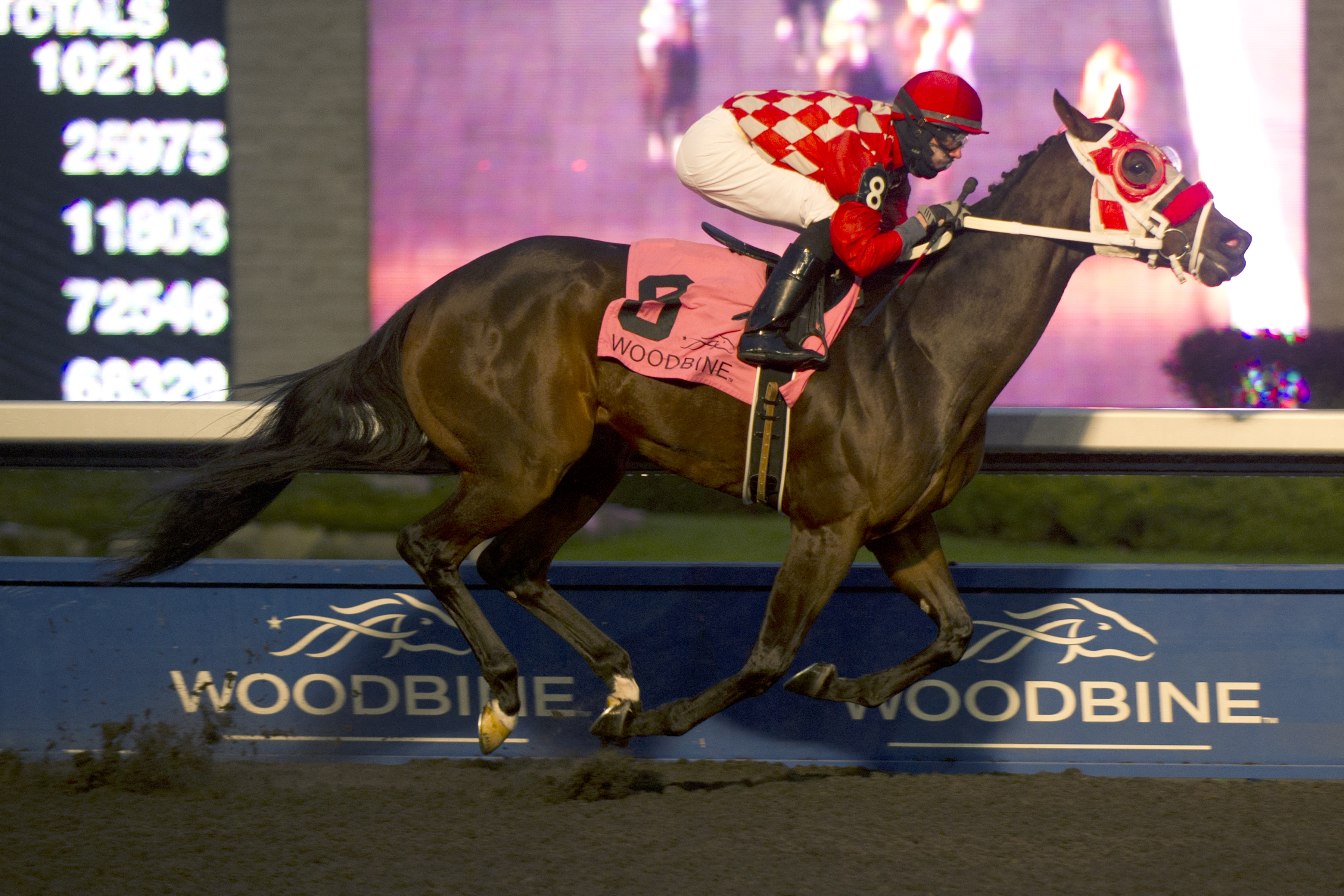 Executive Allure 11-8-2014