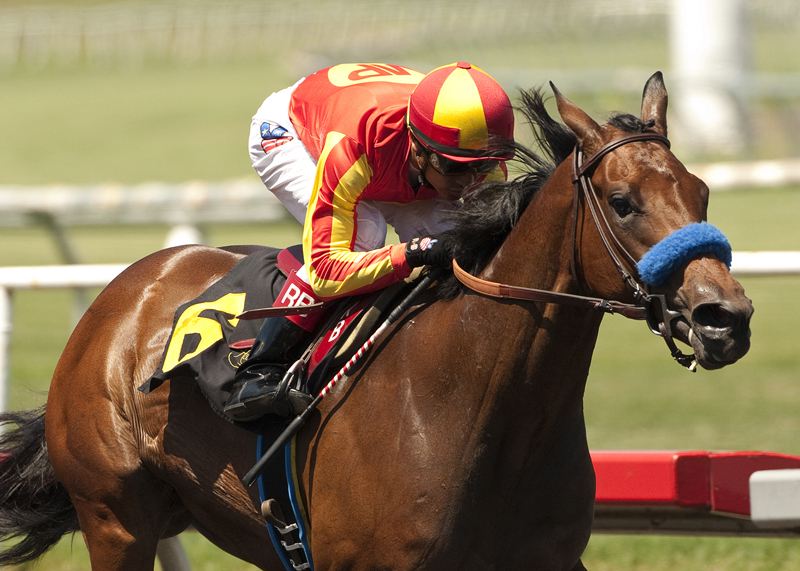 Executiveprivilege/Landaluce