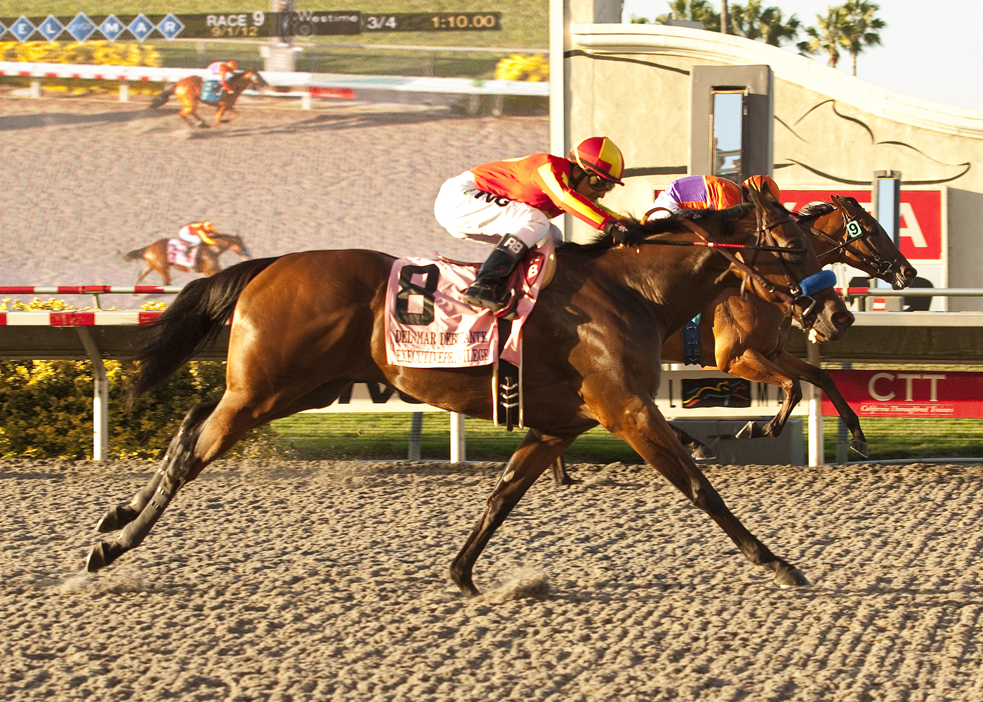 Executiveprivilege/Del Mar Debutante