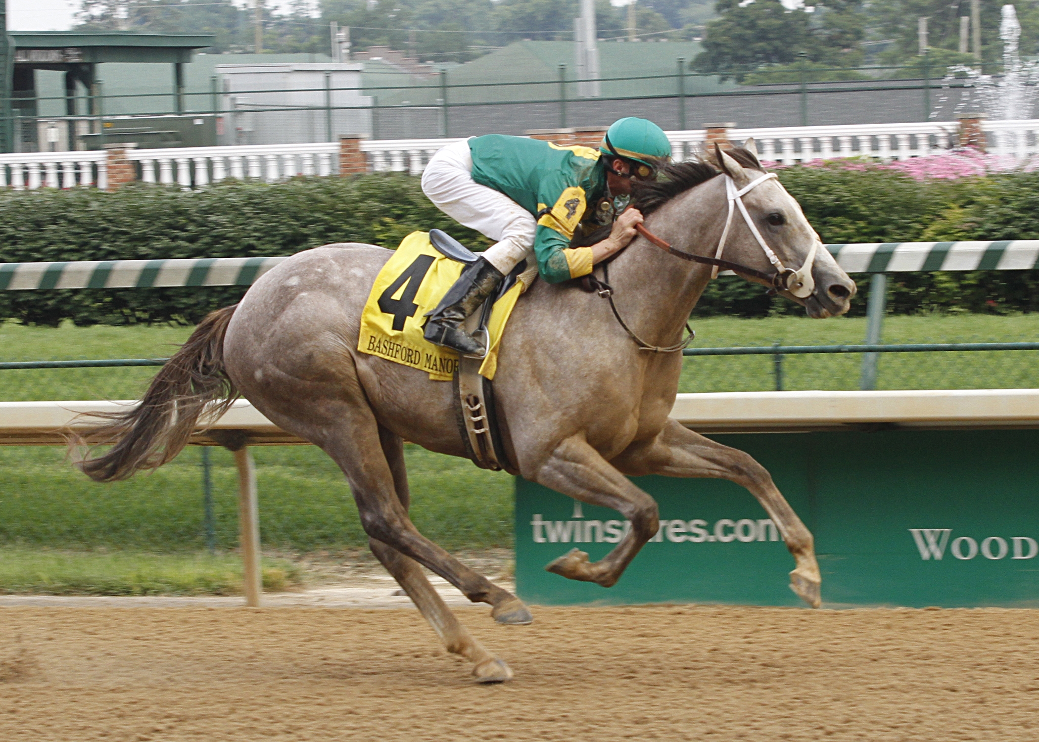 Exfactor/Bashford Manor