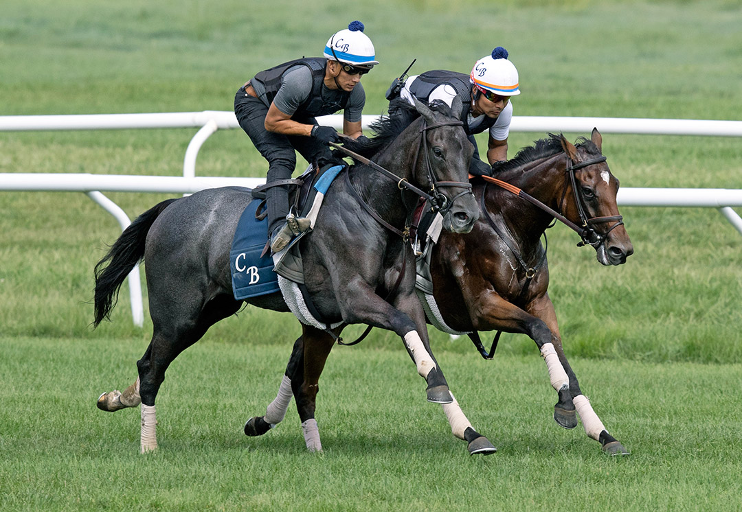 Rastafara (inside) trains with Expand the Map at Saratoga on Aug. 13