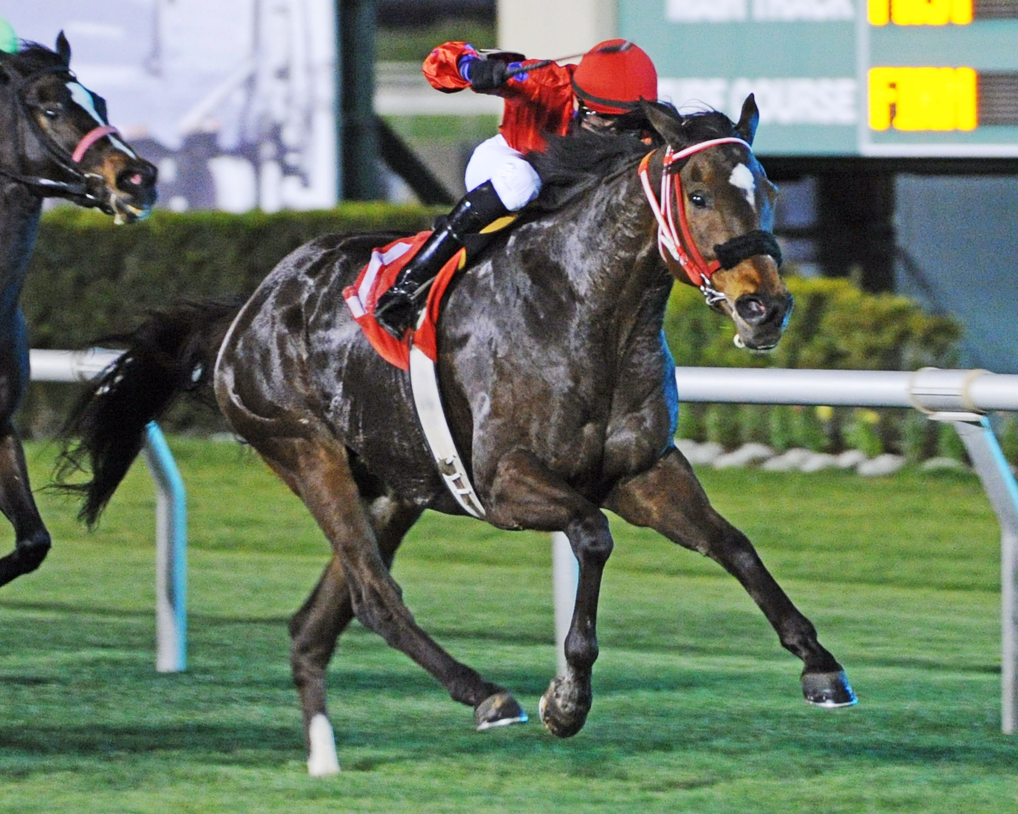 Expect Royalty wins the 2015 Houston Distaff
