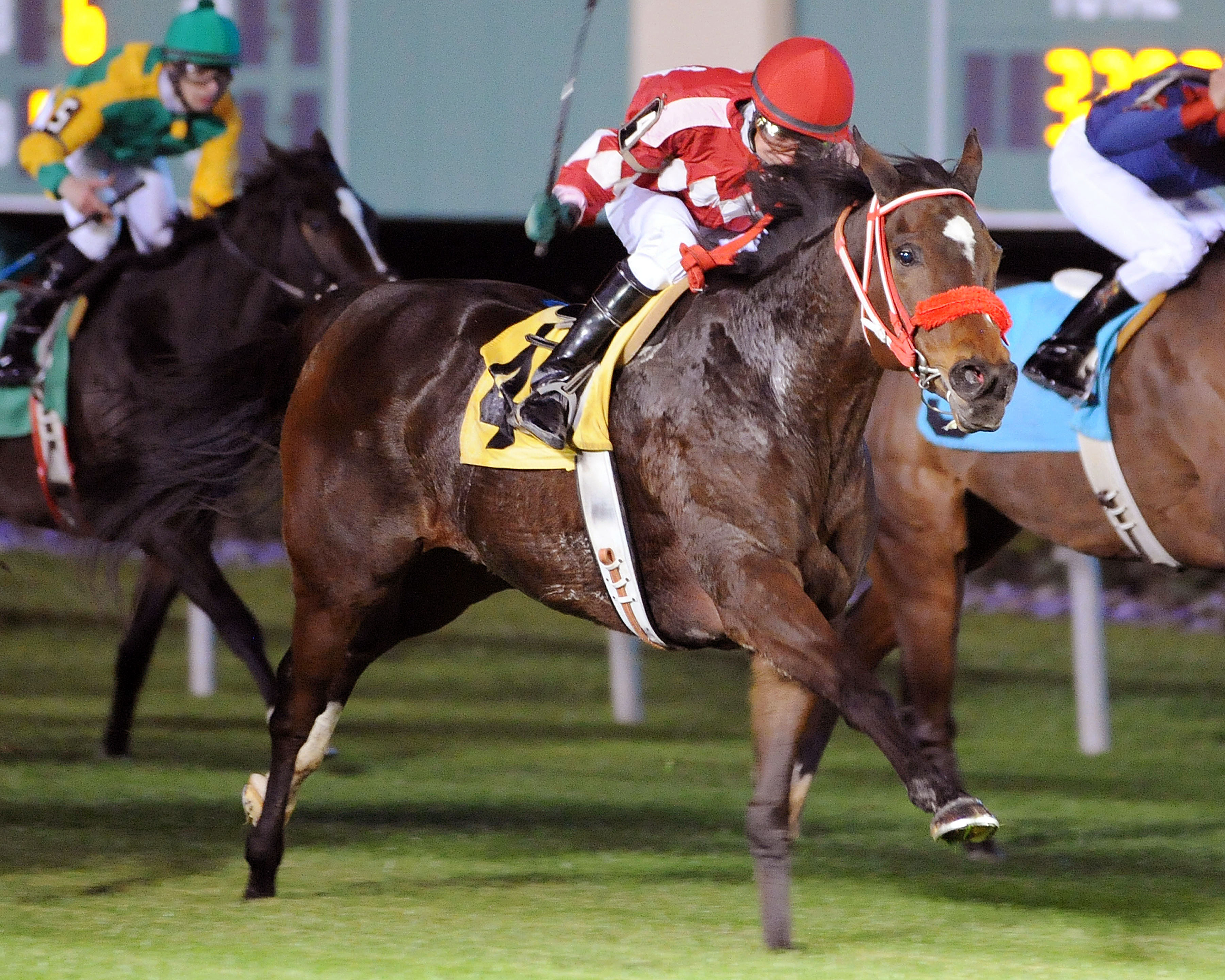 Expect Royalty wins the San Jacinto Turf Stakes