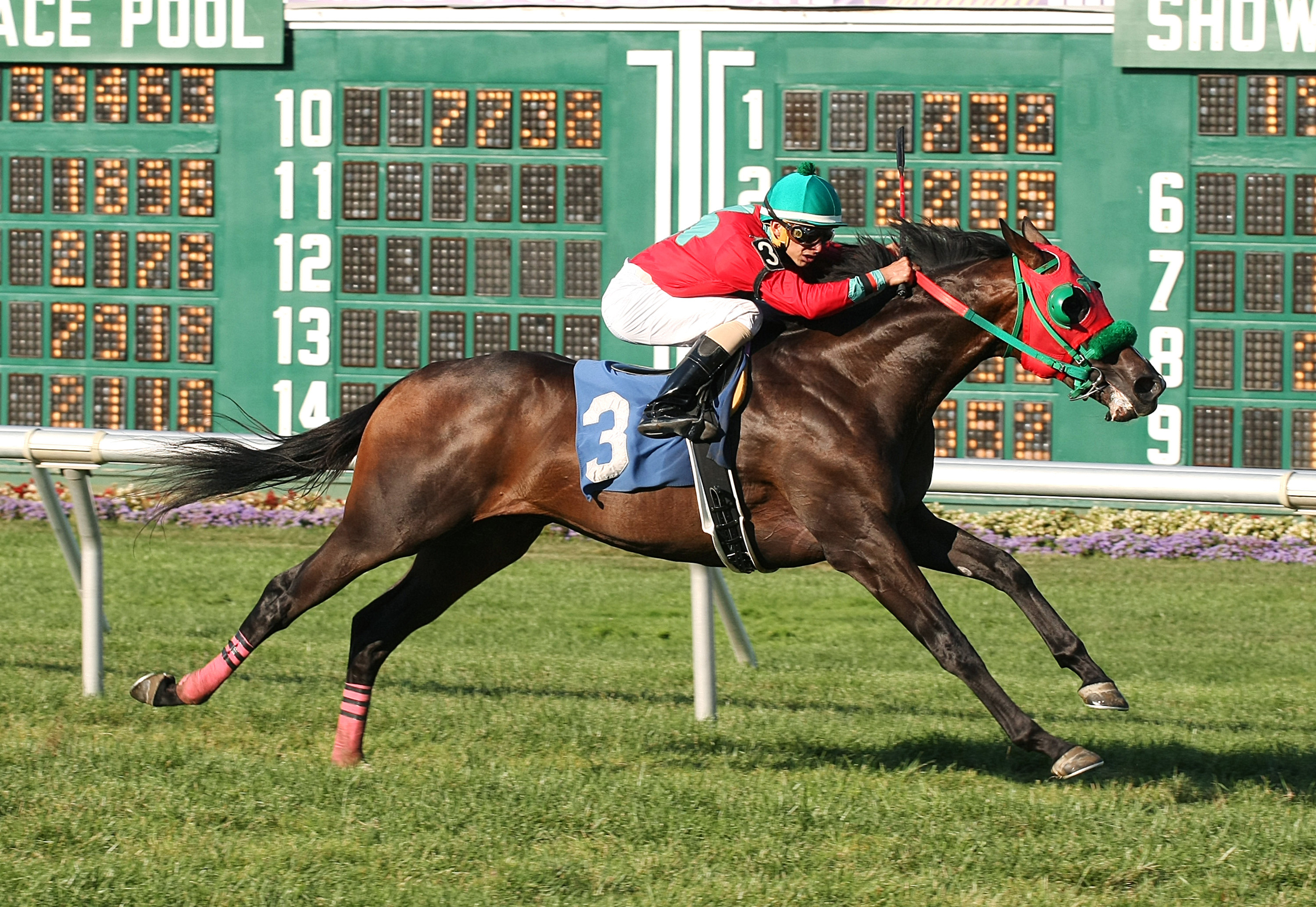 Expected Ruler wins the 2015 Tyro Stakes
