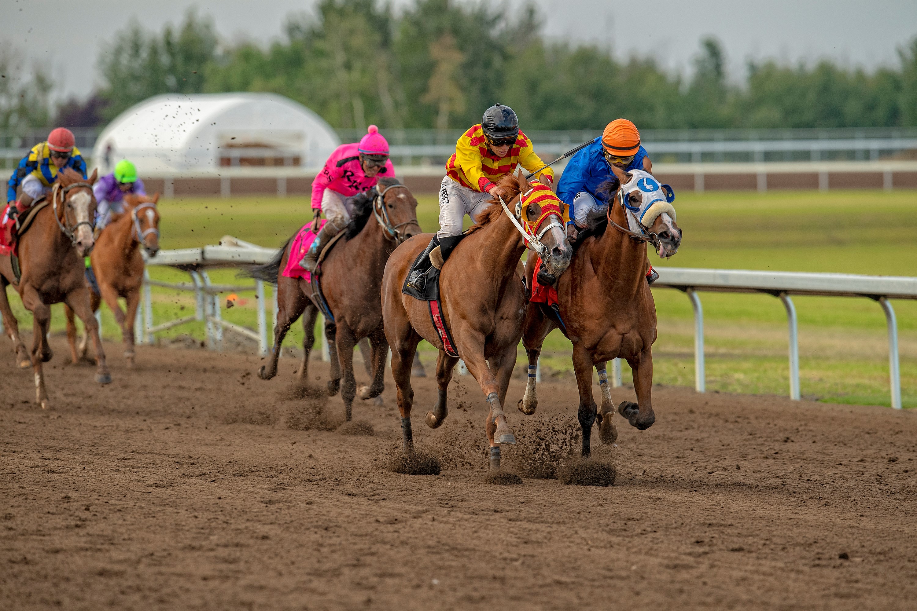 Explode (left) and Journeyman in the stretch of the 2019 Canadian Derby