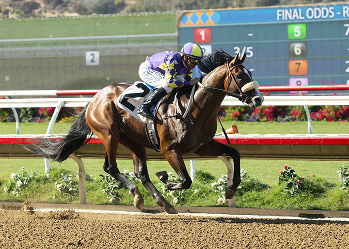 Express Train wins an Aug. 28 maiden race at Del Mar