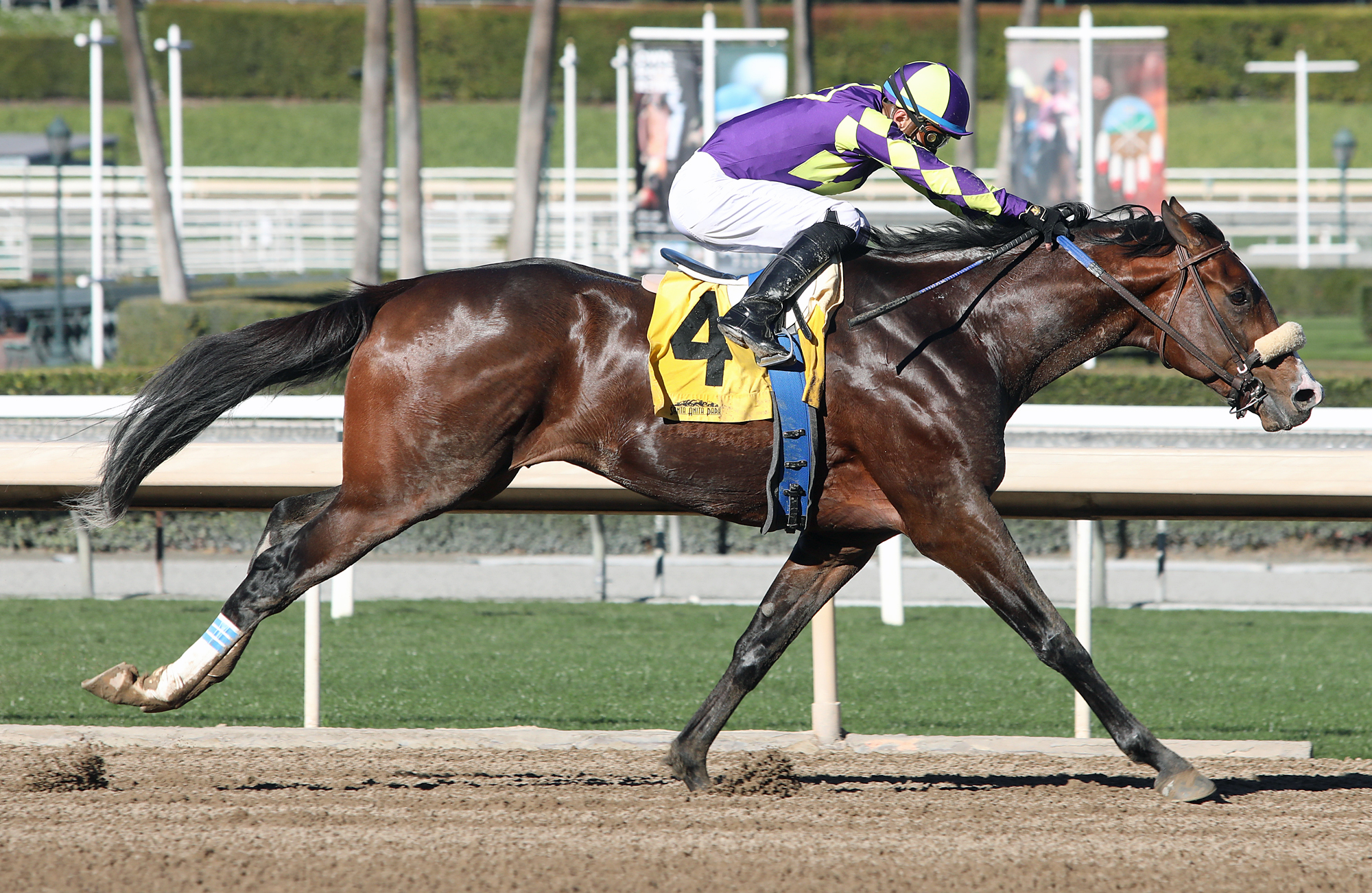 Express Train wins San Pasqual 1-30-2021