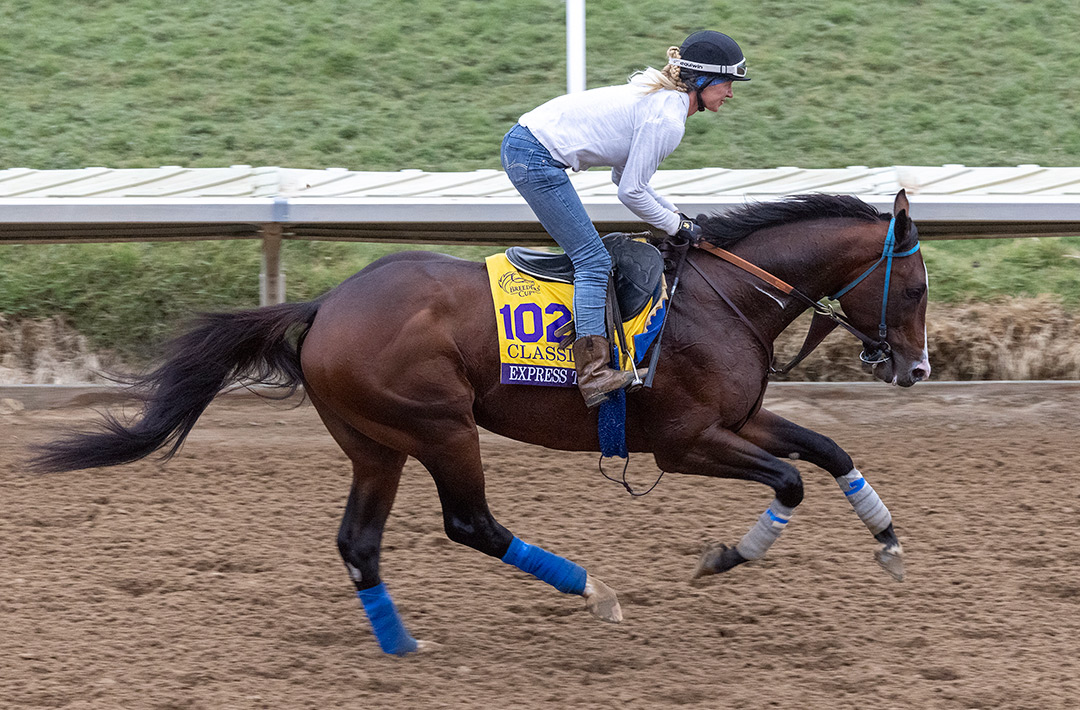 Express Train trains at Del Mar on Nov. 4