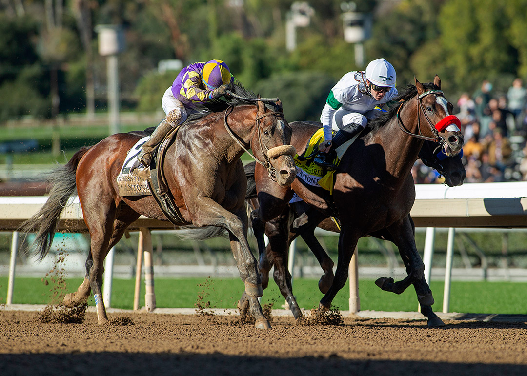 Hot Rod Charlie (right) finishes second in the 2021 San Antonio Stakes at Santa Anita