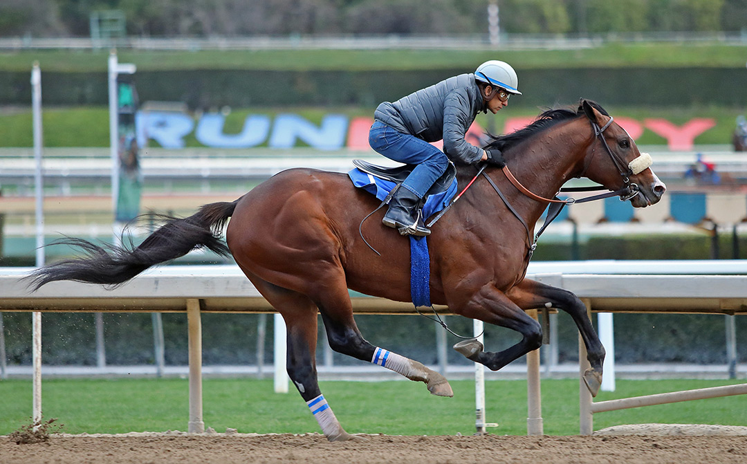 Express Train trains at Santa Anita on Jan. 15