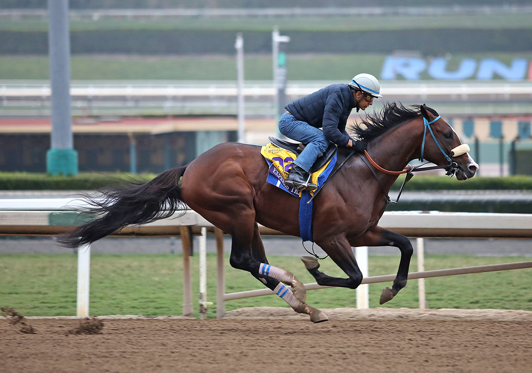Express Train trains at Del Mar in October 2021