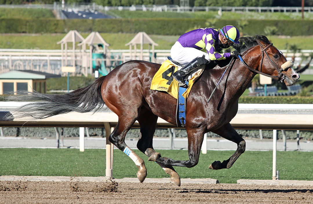 Express Train wins the 2021 San Pasqual Stakes at Santa Anita