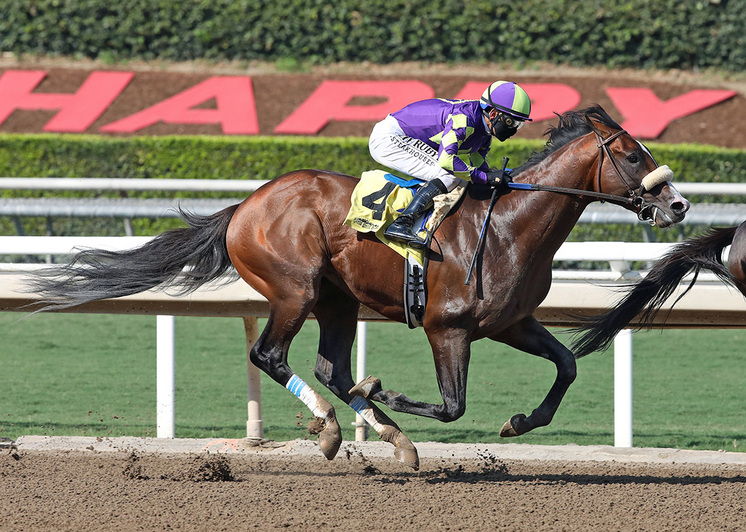 Express Train finishes second in a Sept. 26 allowance at Santa Anita