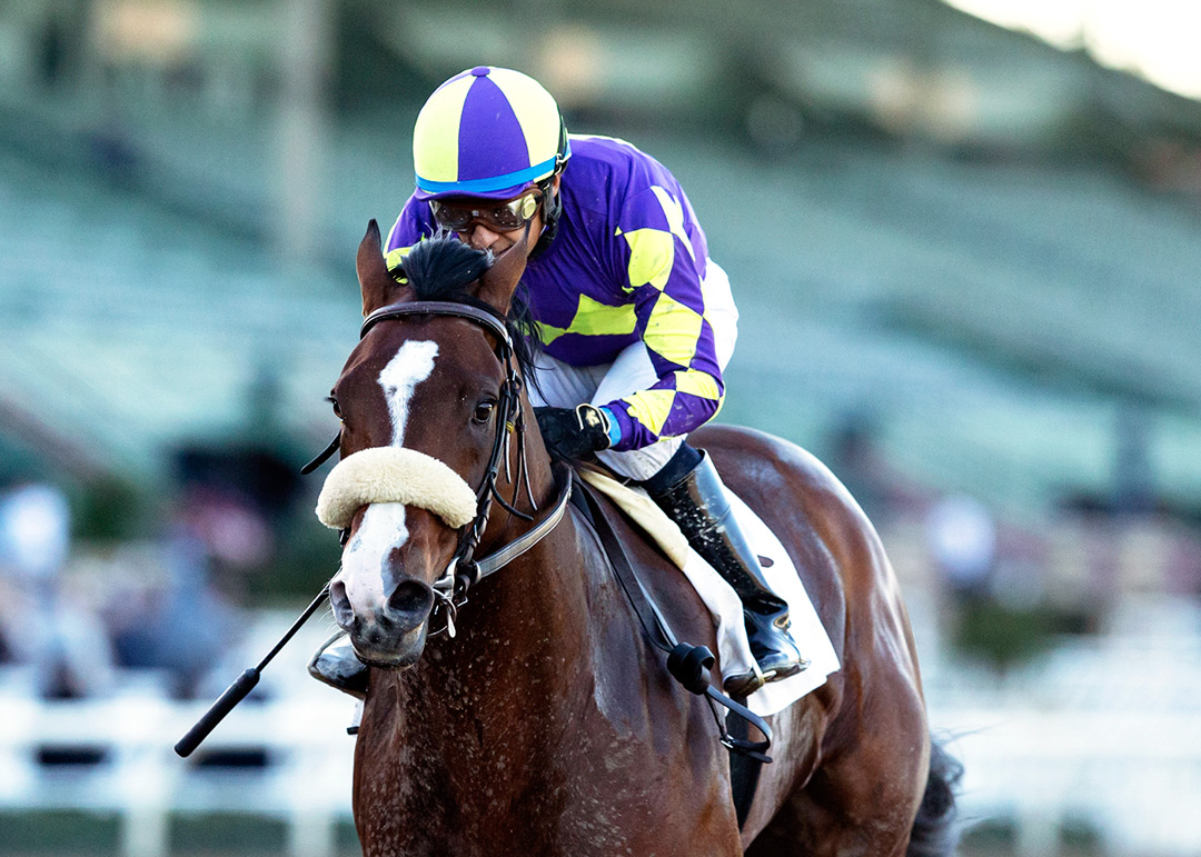 Express Train wins the 2022 San Pasqual Stakes at Santa Anita