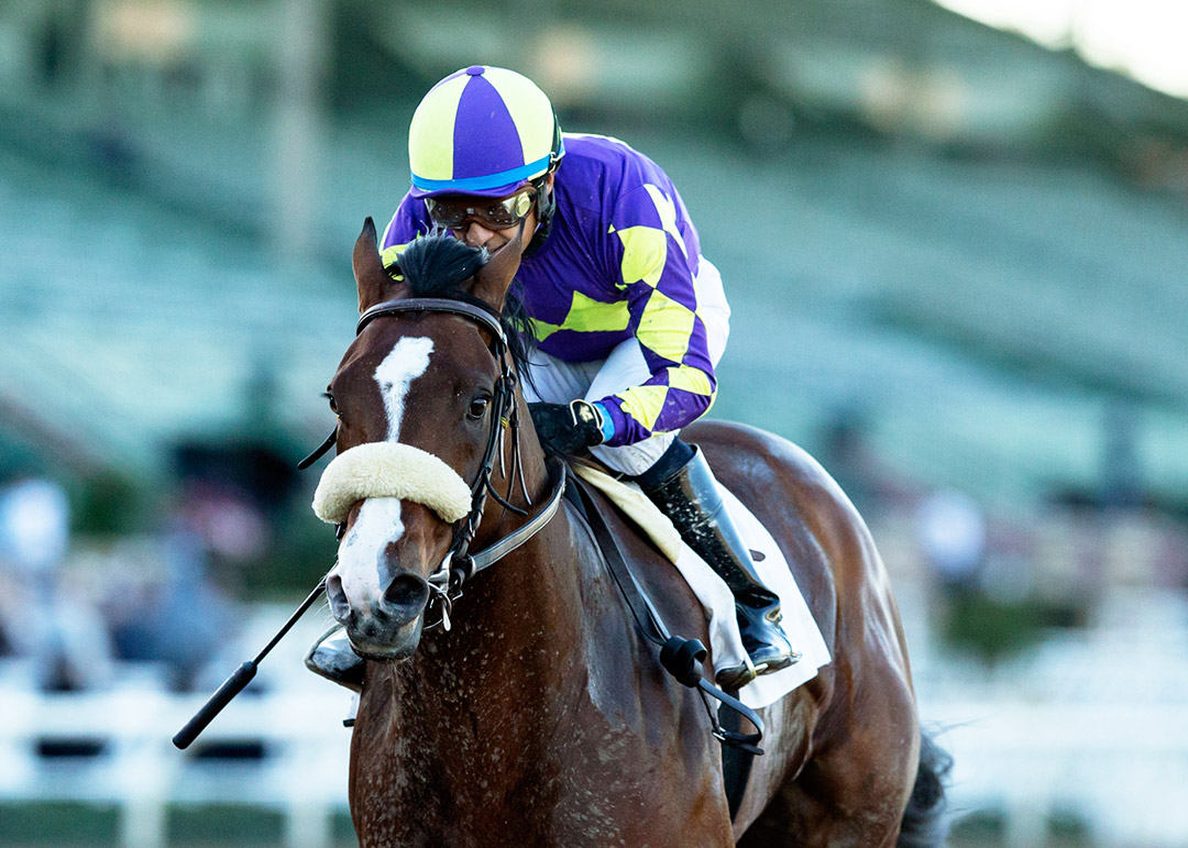 Express Train wins the 2022 San Pasqual Stakes at Santa Anita Park