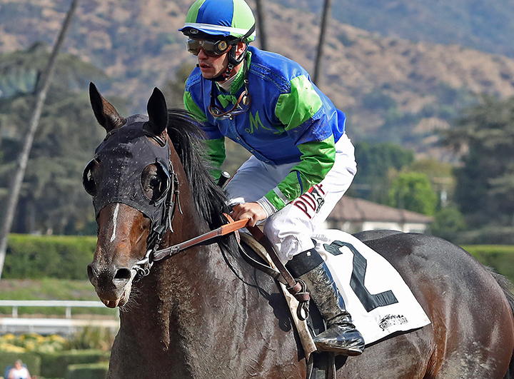 Extra Hope at the Damascus Stakes at Santa Anita Park
