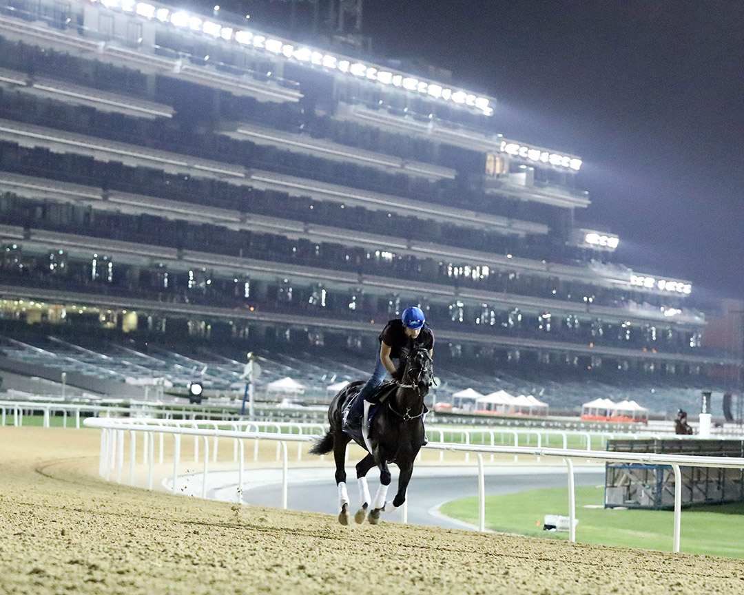 Extravagant Kid trains at Meydan Racetrack on March 22