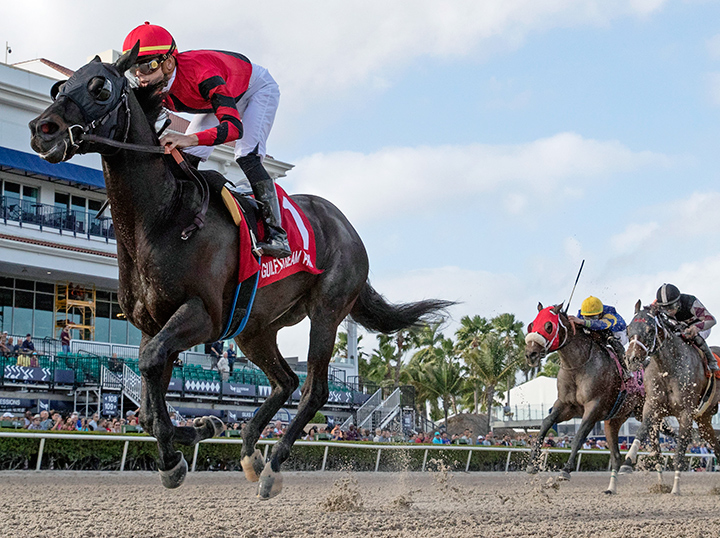 Extravagant Kid wins the 2020 Sunshine Millions Sprint at Gulfstream Park