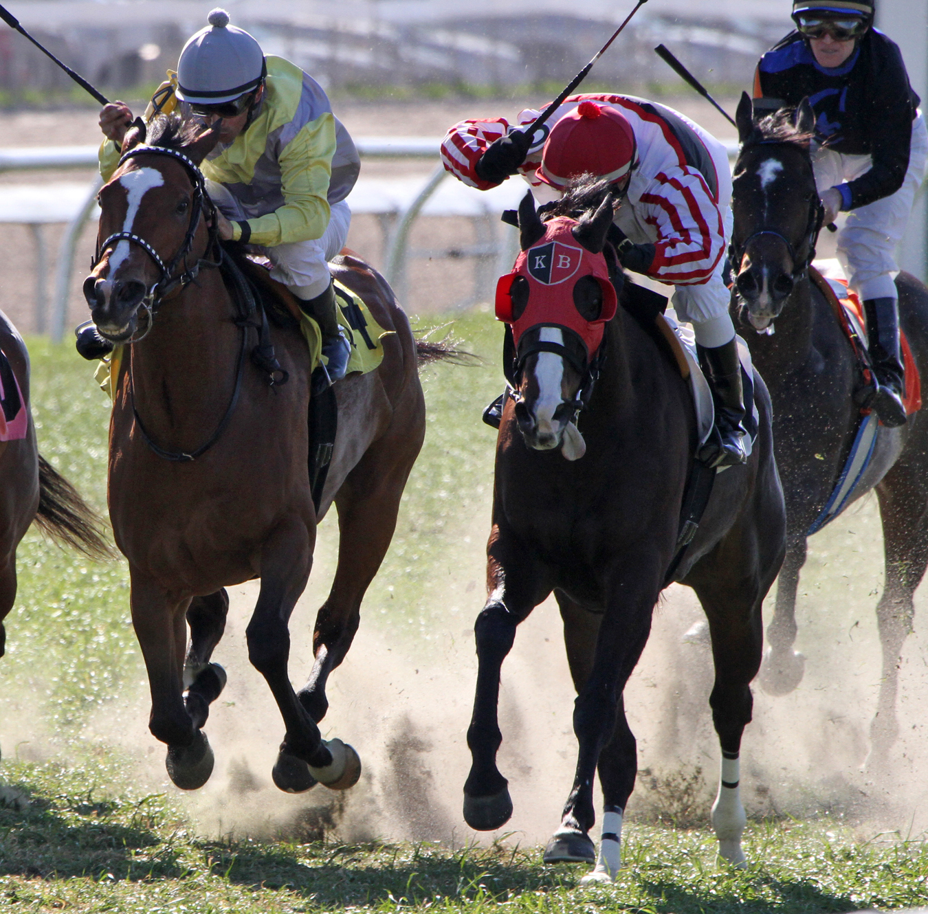 Storm's Promise, Extravaganza, Happy Ticket Stakes
