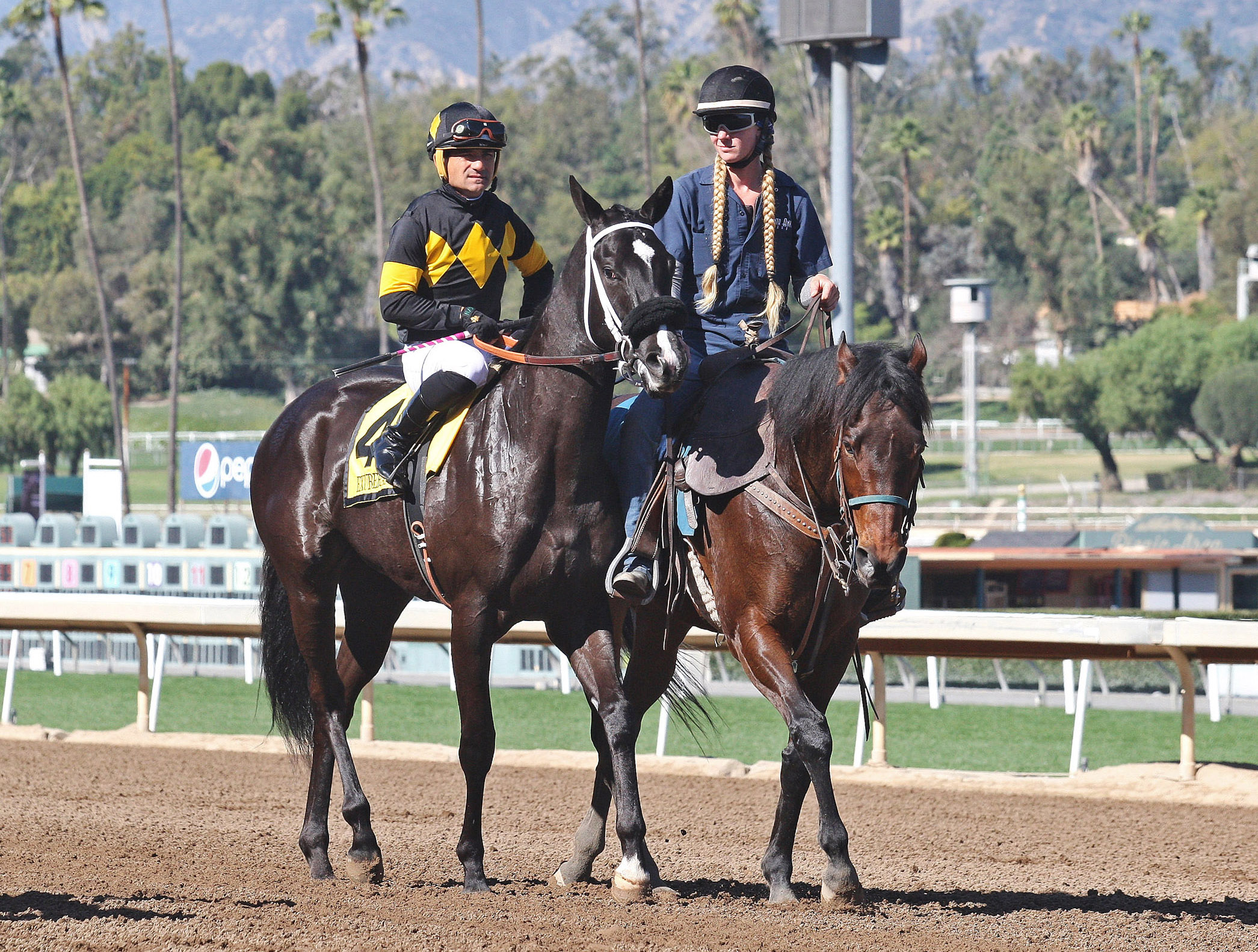 Exuberance at the Las Virgenes Stakes
